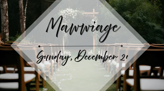 Screenshot 2025-12-29 12.56.52 PM.png