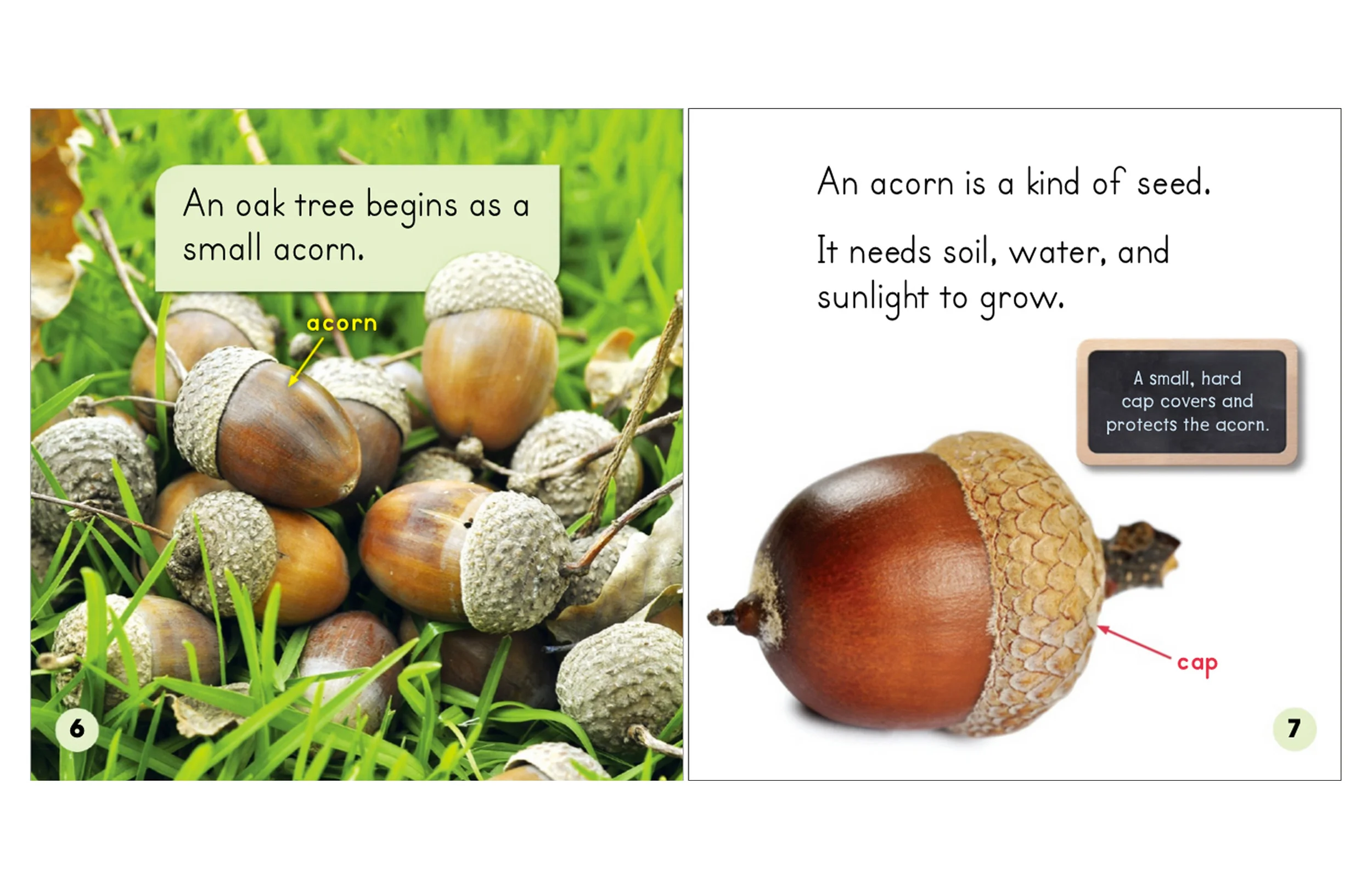 Grow_Tree_int.jpg
