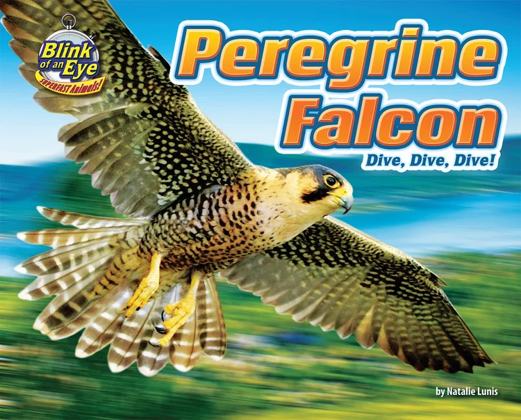 Falcon.jpg
