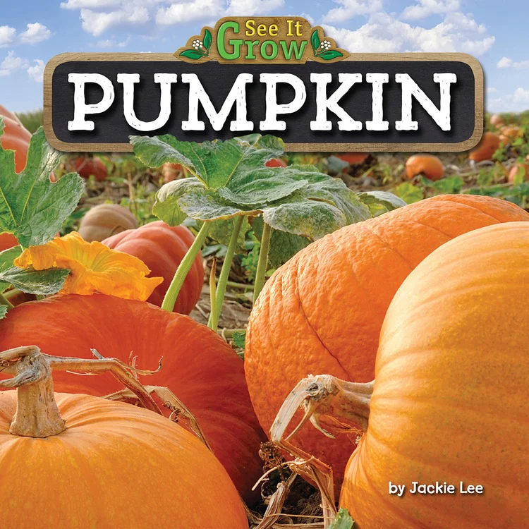 Pumpkin.jpg