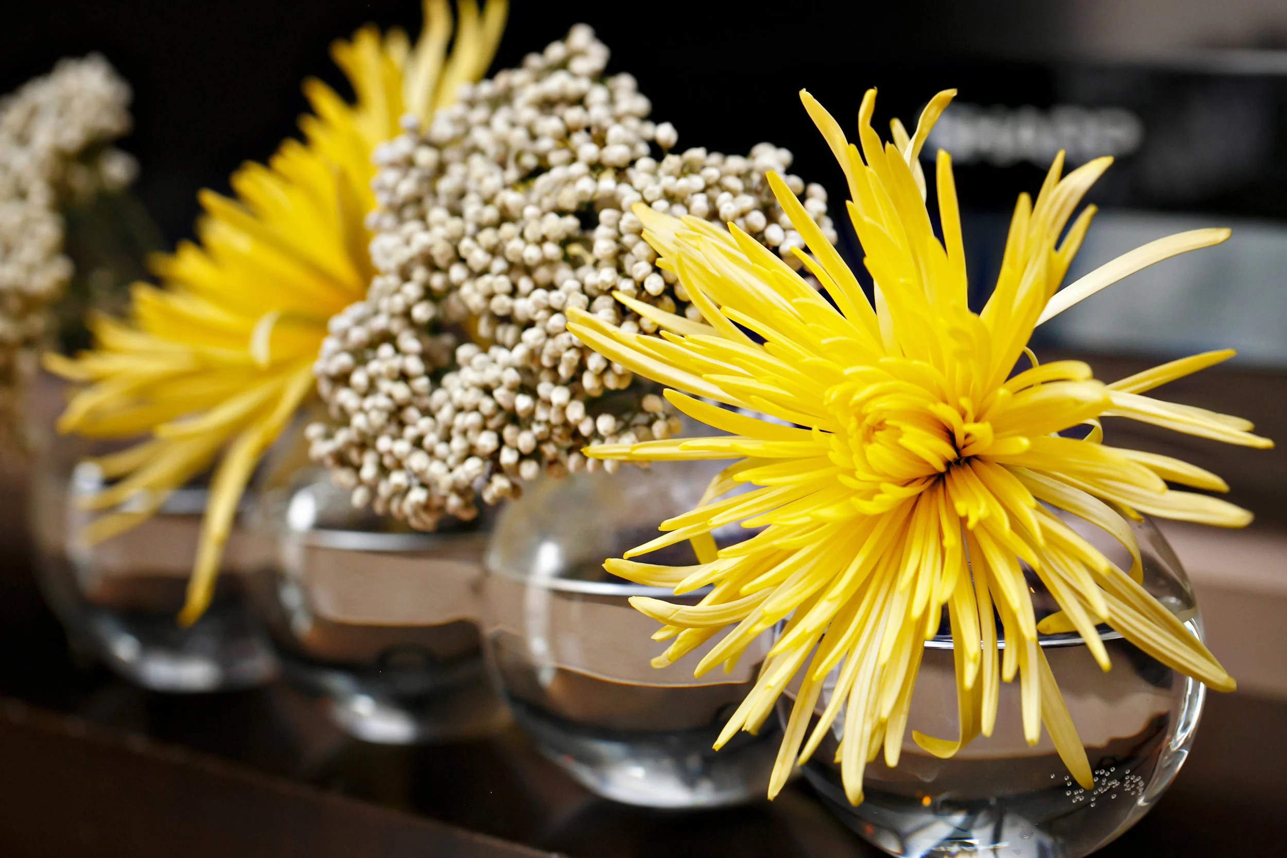 Forde_BridalShower_024.jpg