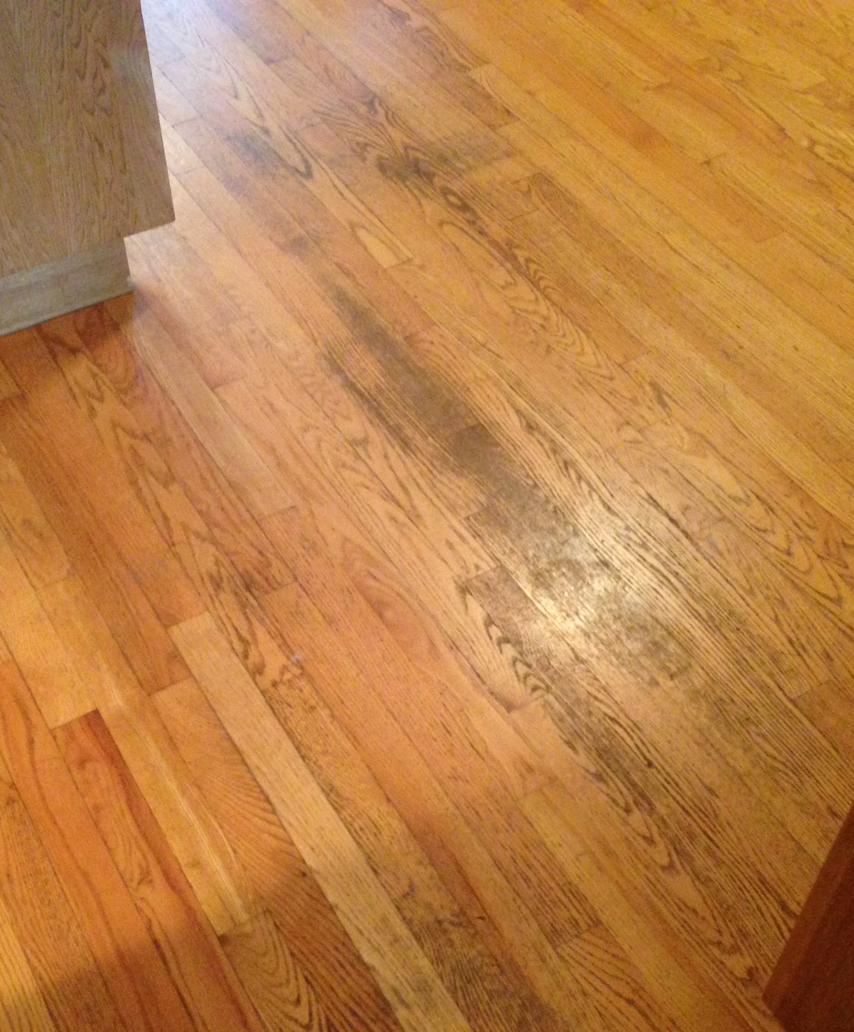Hardwood Floor Refinishing, Hardwood Floor Finish Problems