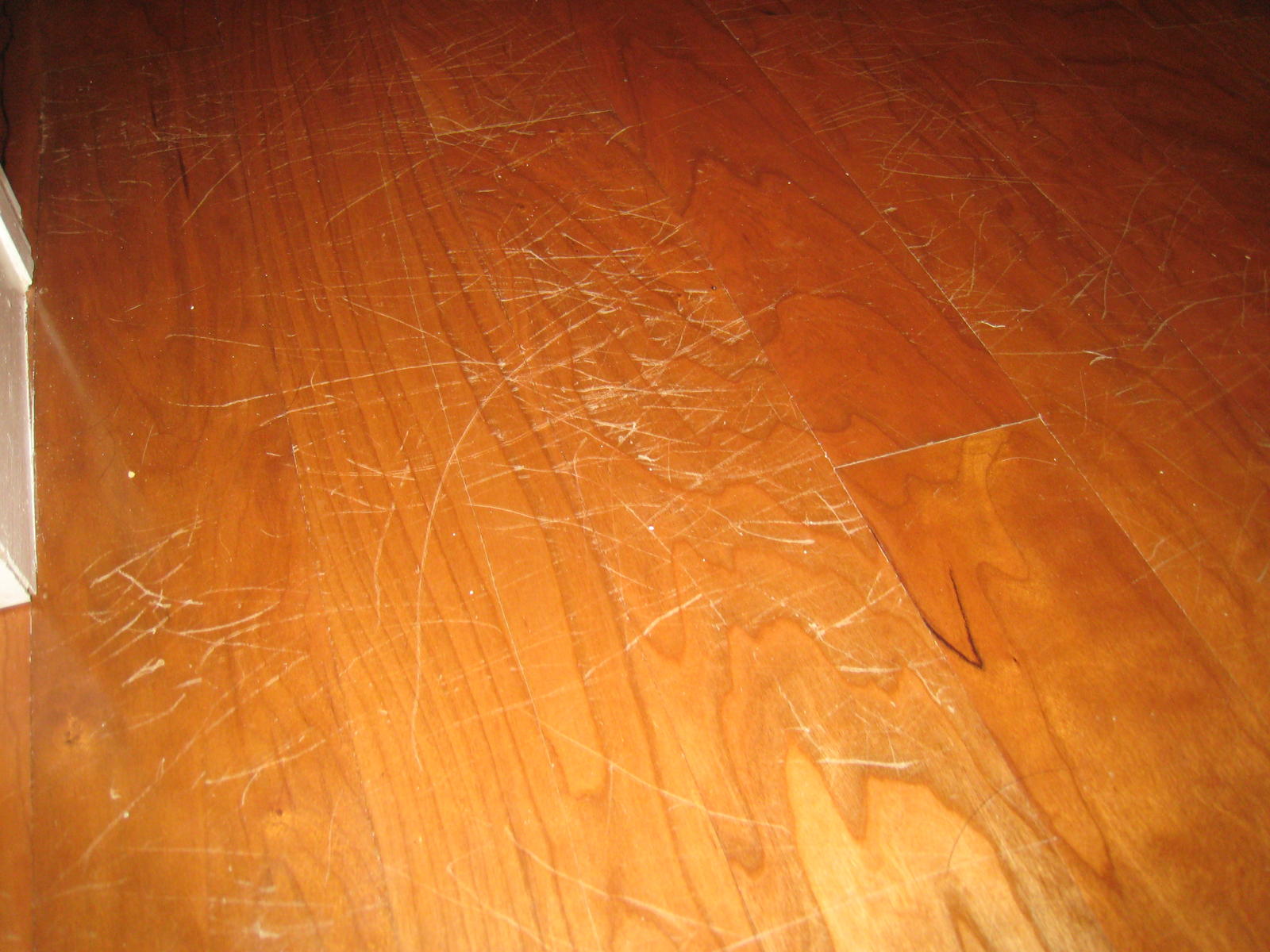 do dog paws scratch wood floors