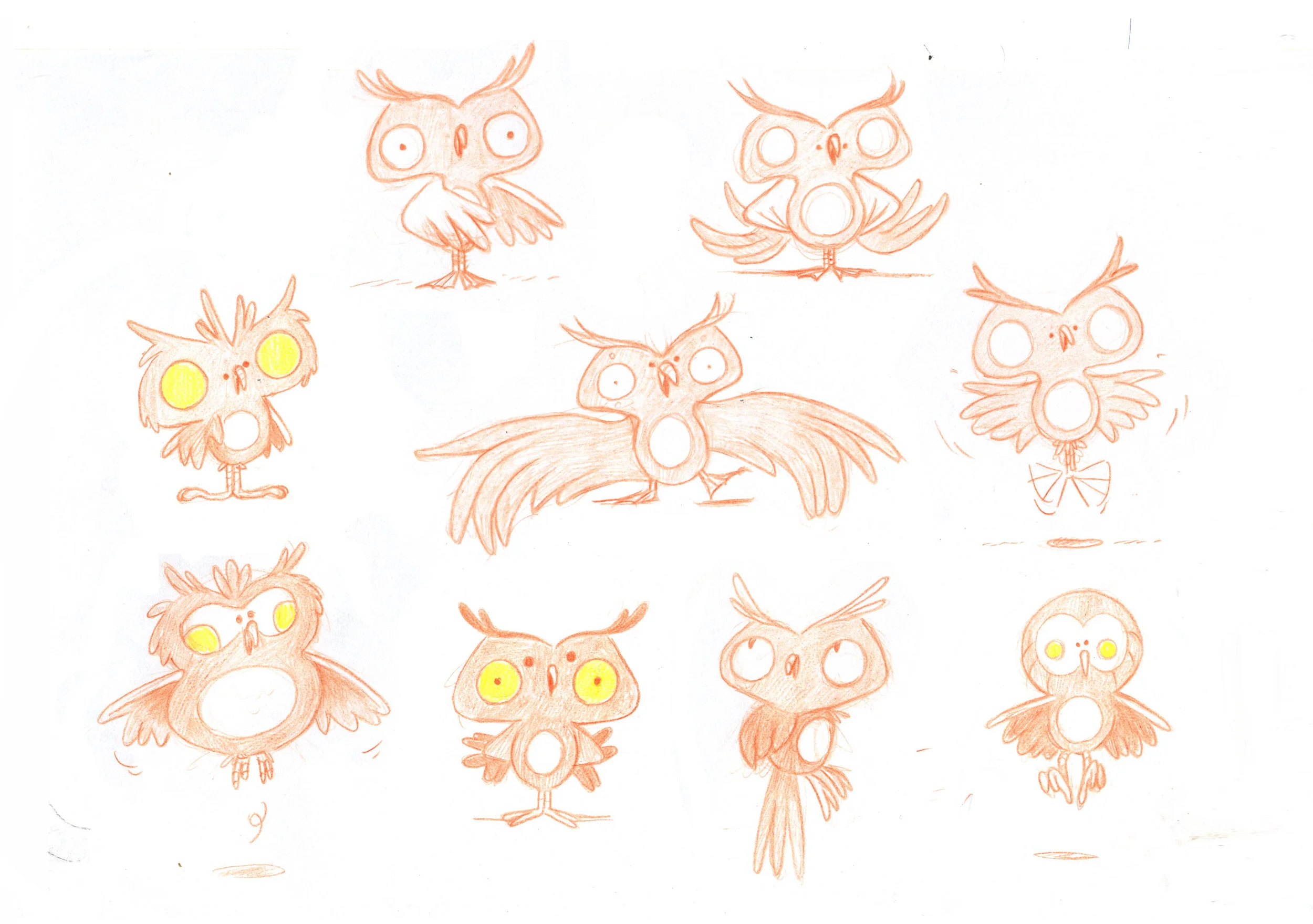 HIBOU - CANAL +.jpg