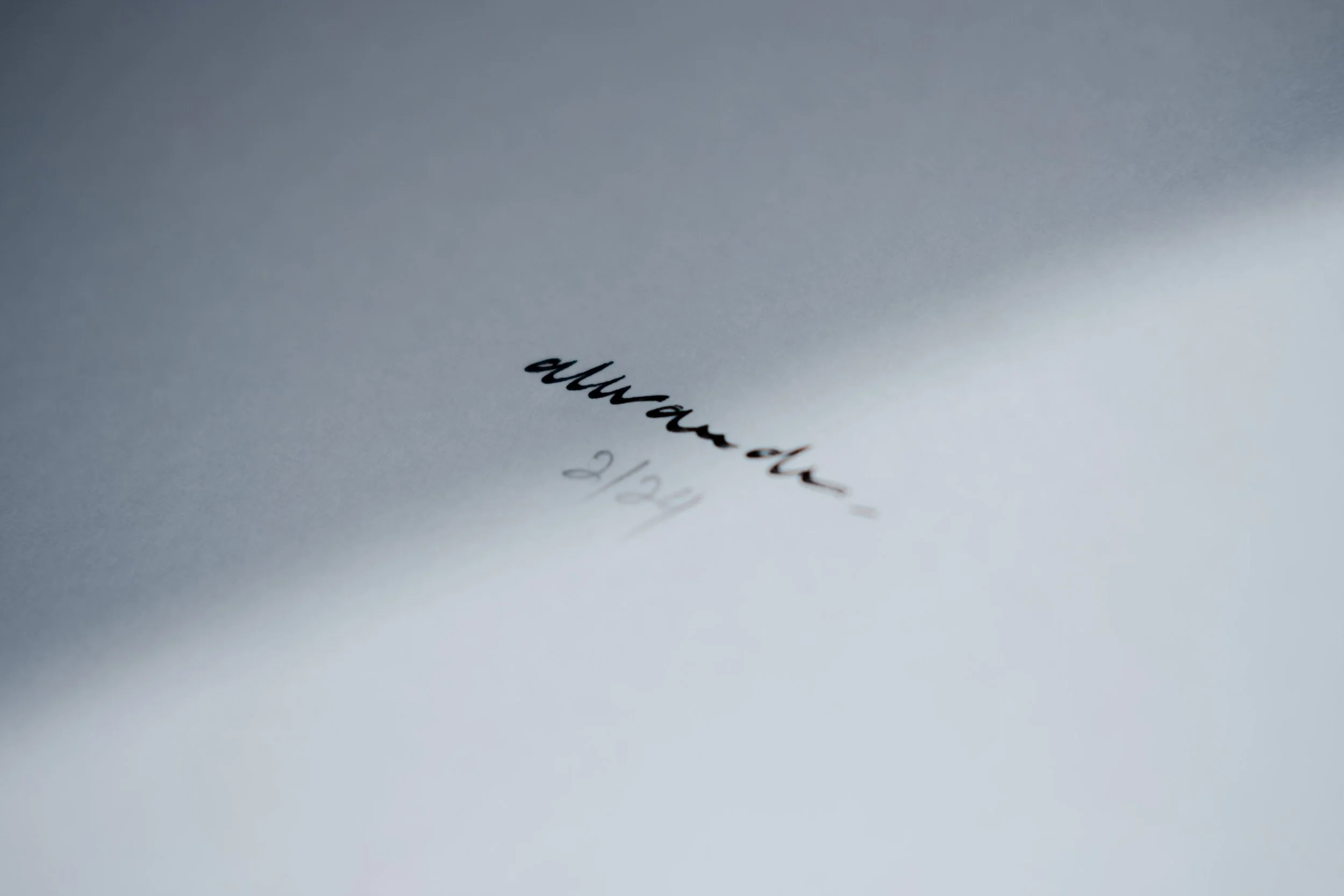 DSCF0528-2.jpg