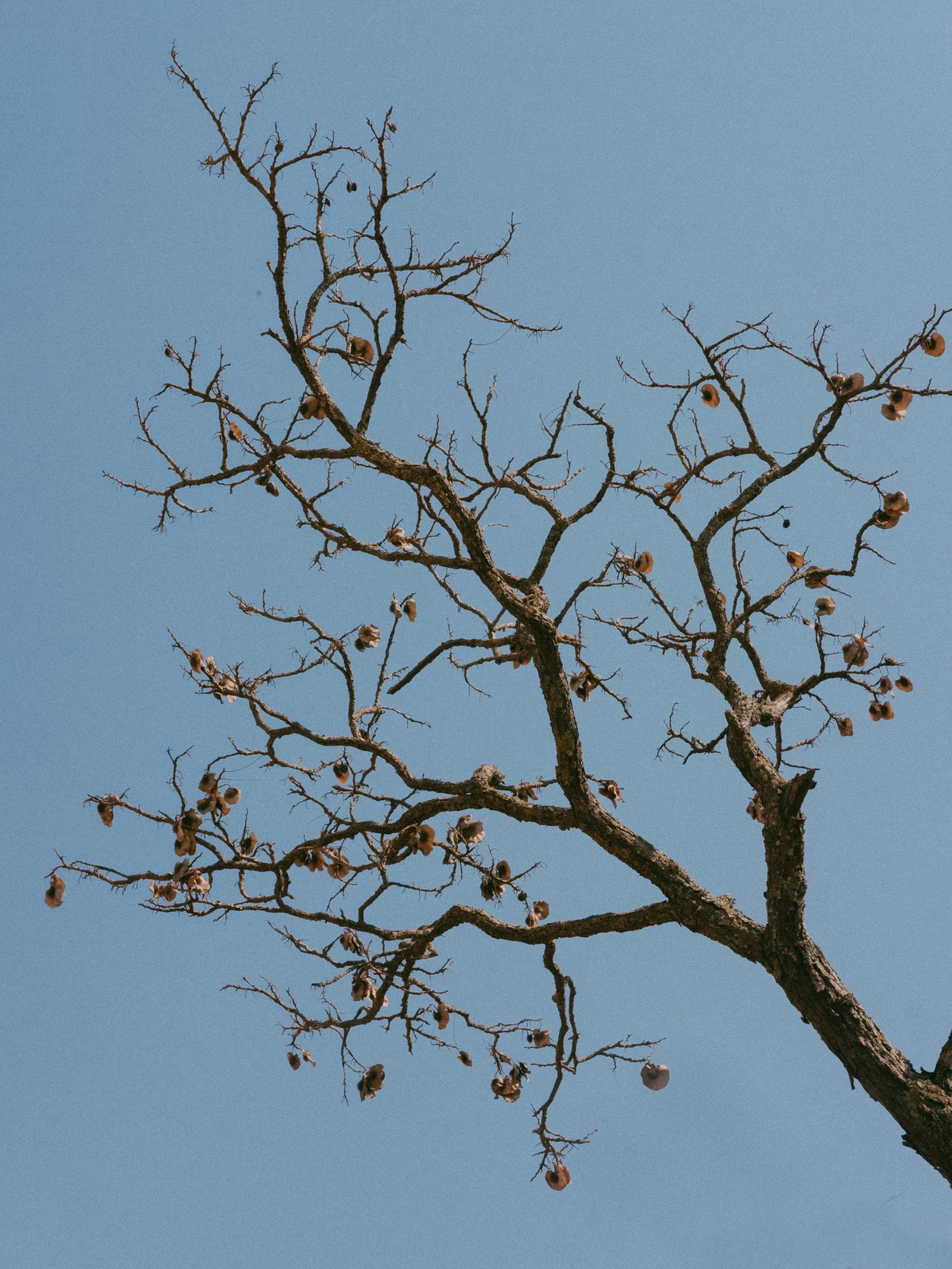 DSCF4088-Modifier.jpg