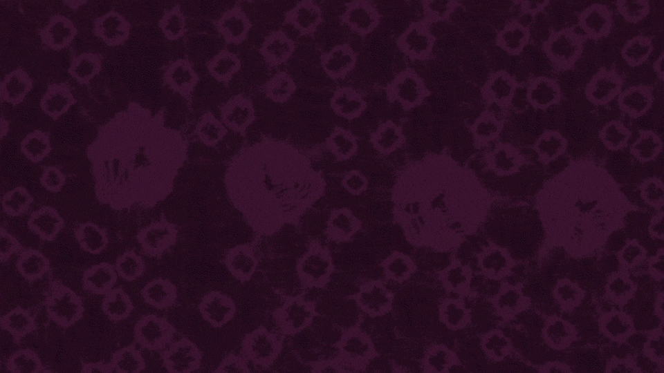 01-Title-Gambia-09-12-24-V3.gif