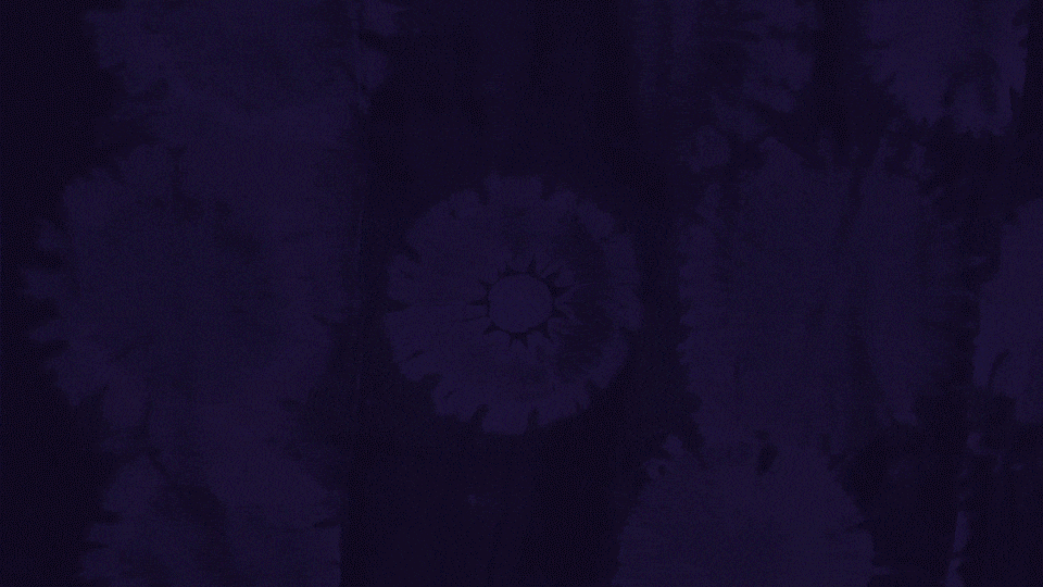 01-Title-Gambia-09-12-24-V1.gif