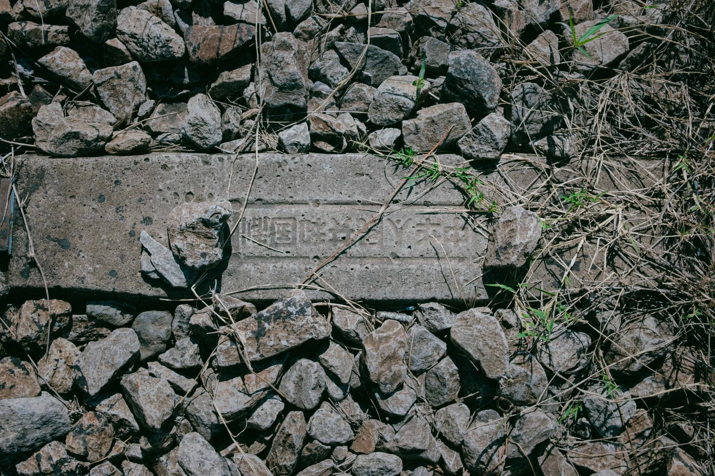 RDP-28.jpg