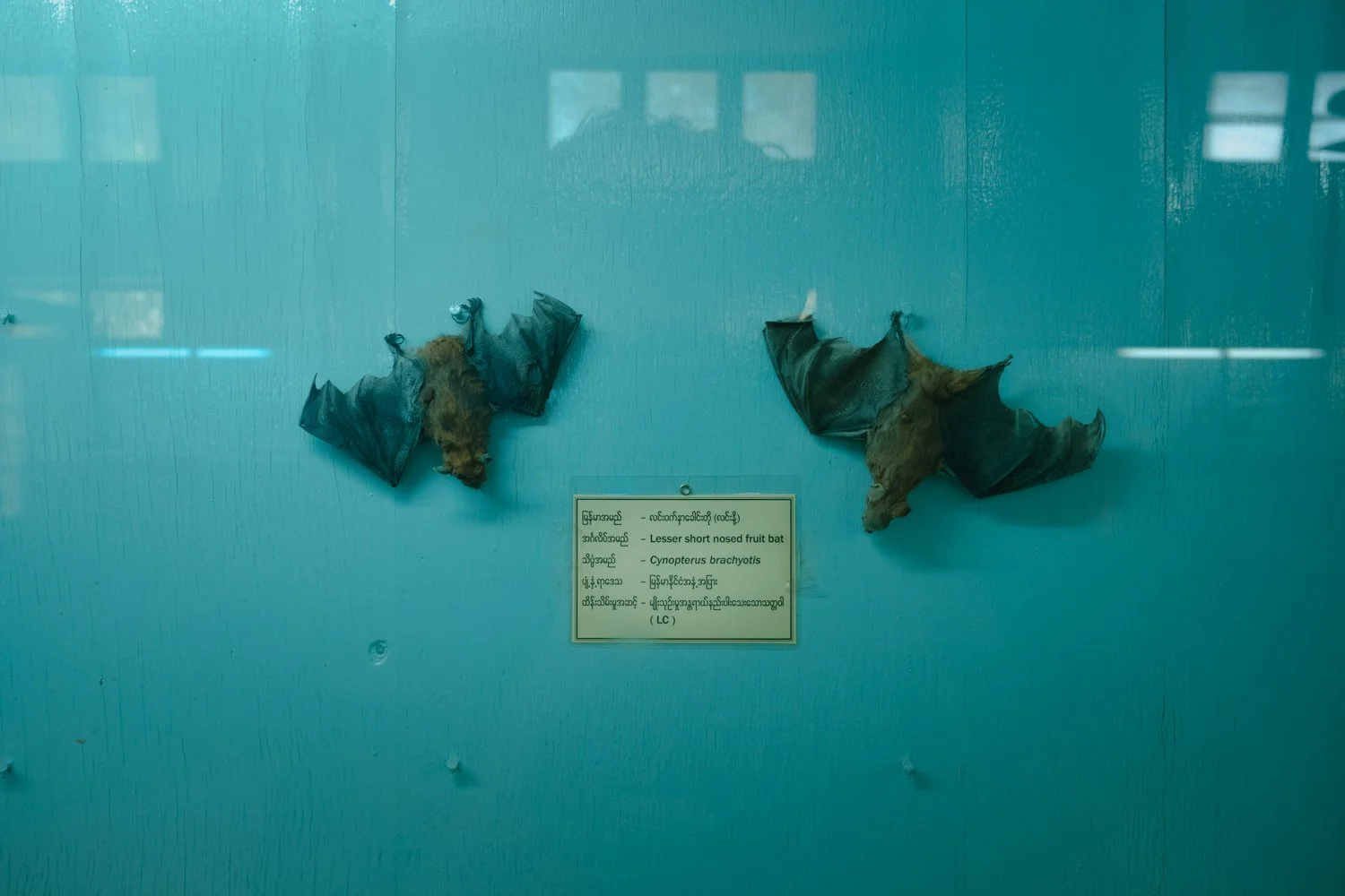 DSCF1275.jpg
