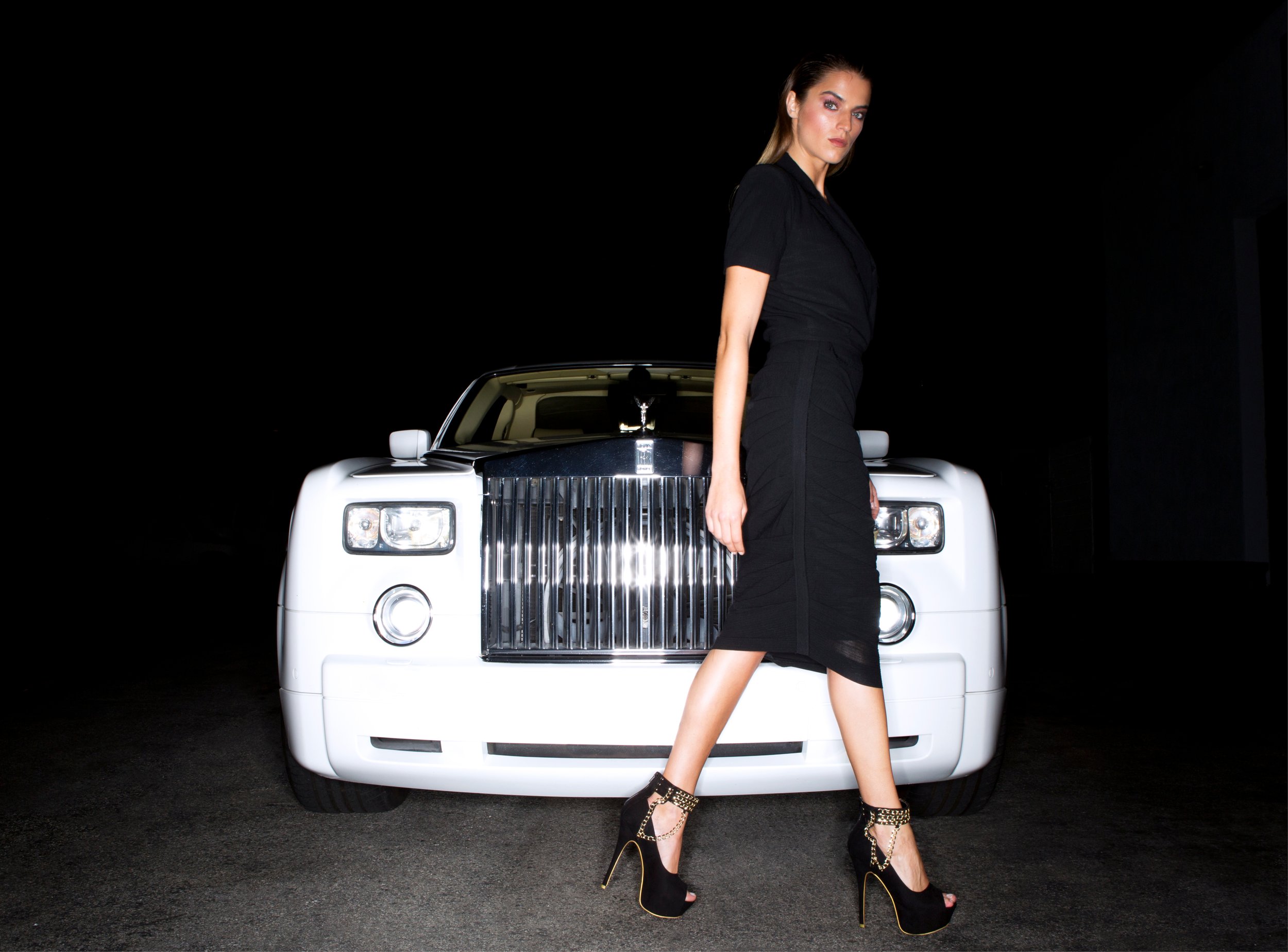 Limo_JSM_img_1.jpg