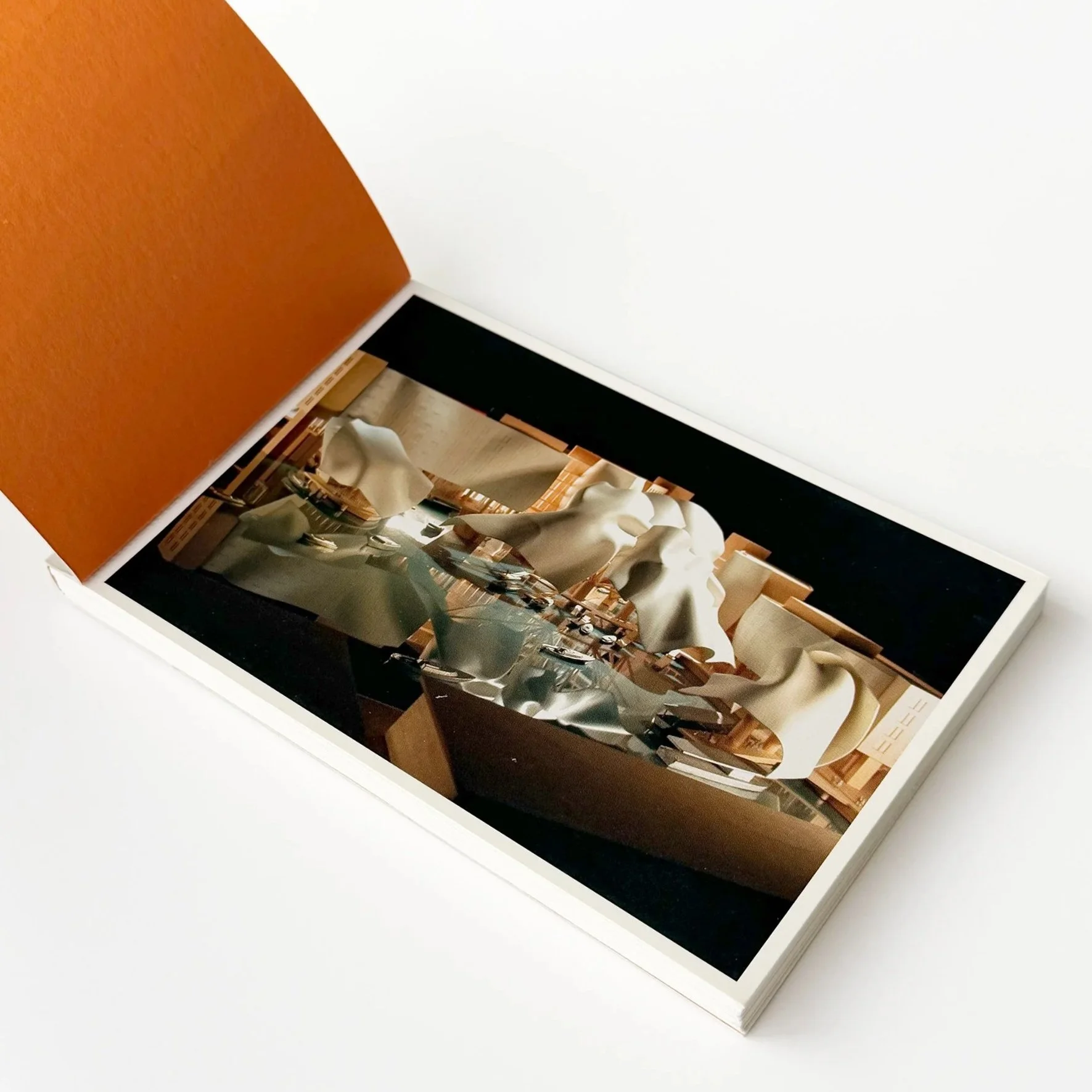 GEHRY_notebook_open.jpg