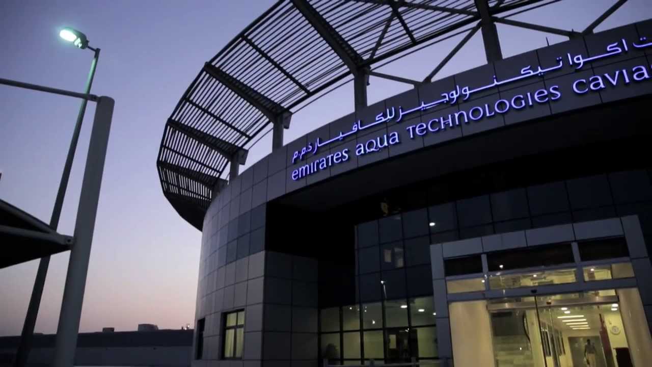 Emirates Aquatech Caviar Factory | Abu Dhabi