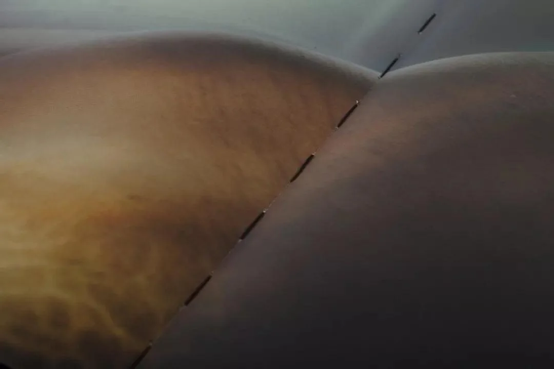 アート・デザイン・音楽 Wenxin Zhang The Guesthouse of Cascades アート・デザイン・音楽 Wenxin Zhang The Guesthouse of Cascades