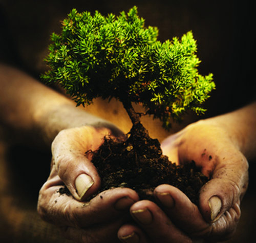 What we do on Earth Day?