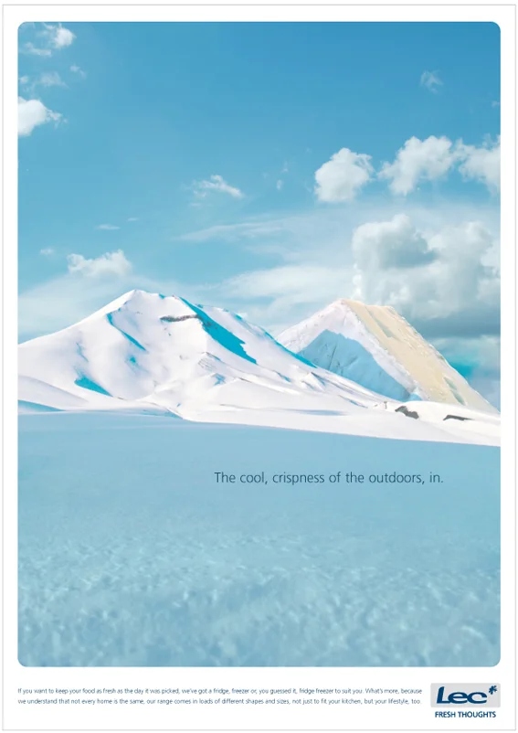 Lec ads A3 3.jpg