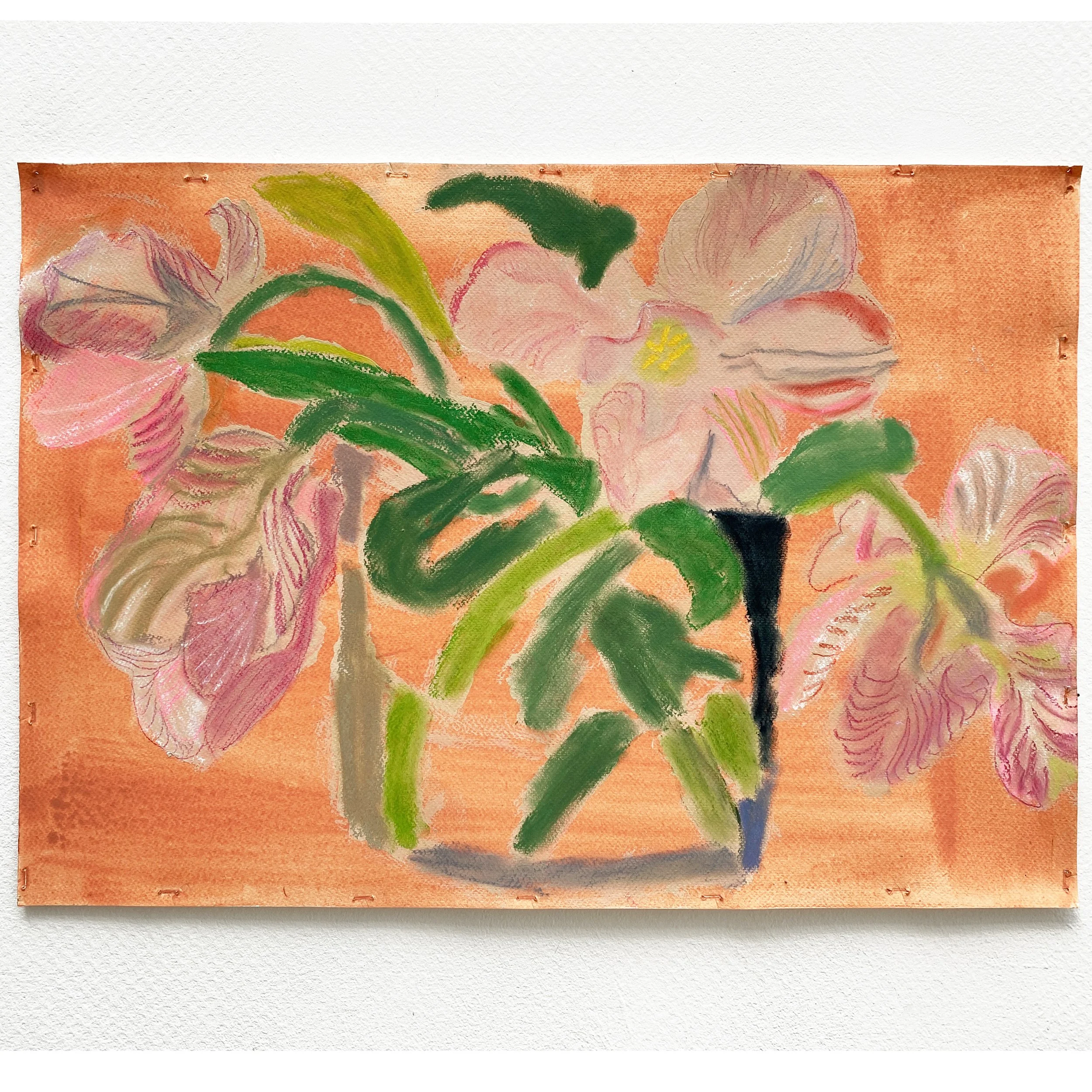 Parrot Tulips on Coral 2.jpg