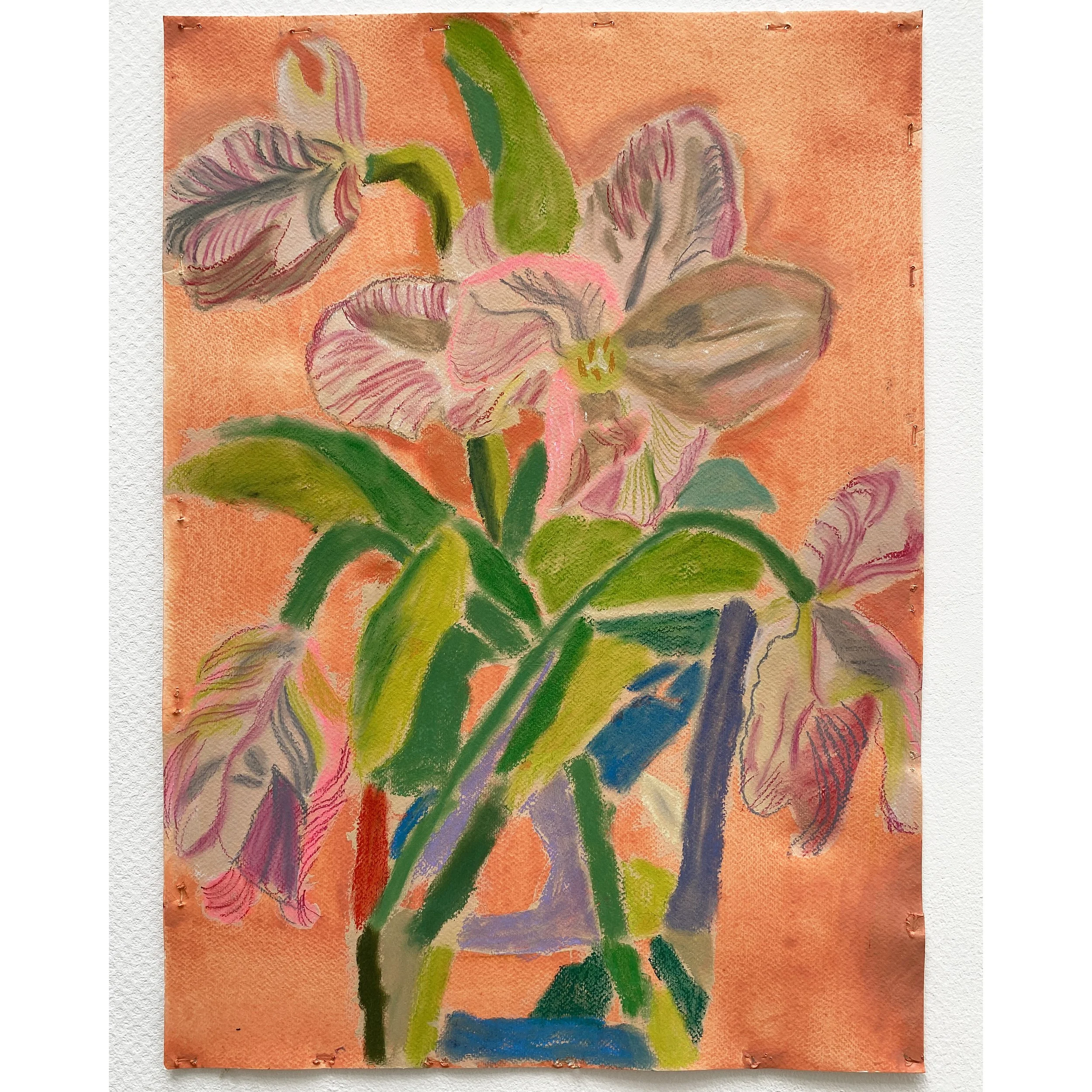 Parrot Tulip on Coral 1 Sq.jpg