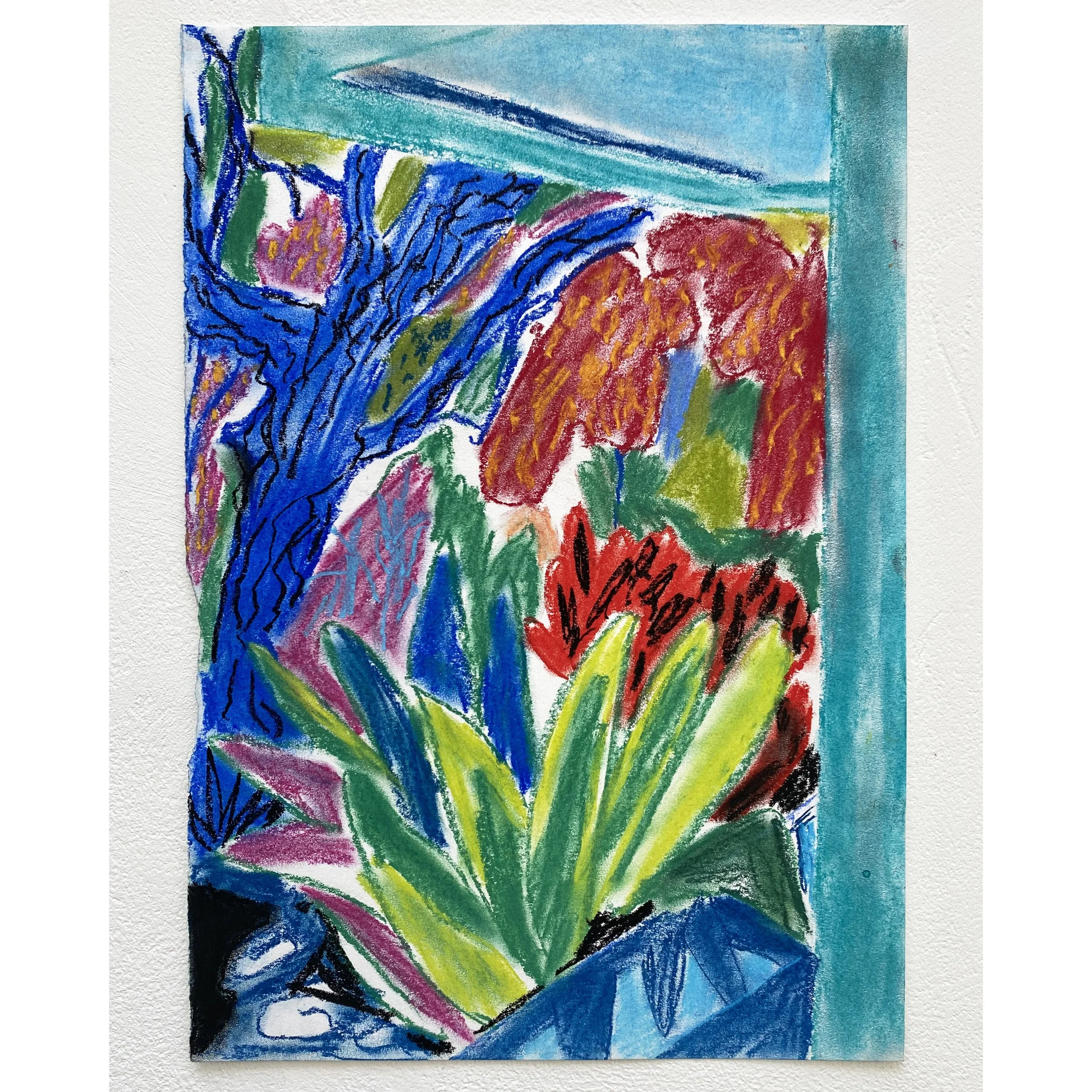 View from the yard 4 sq.jpg