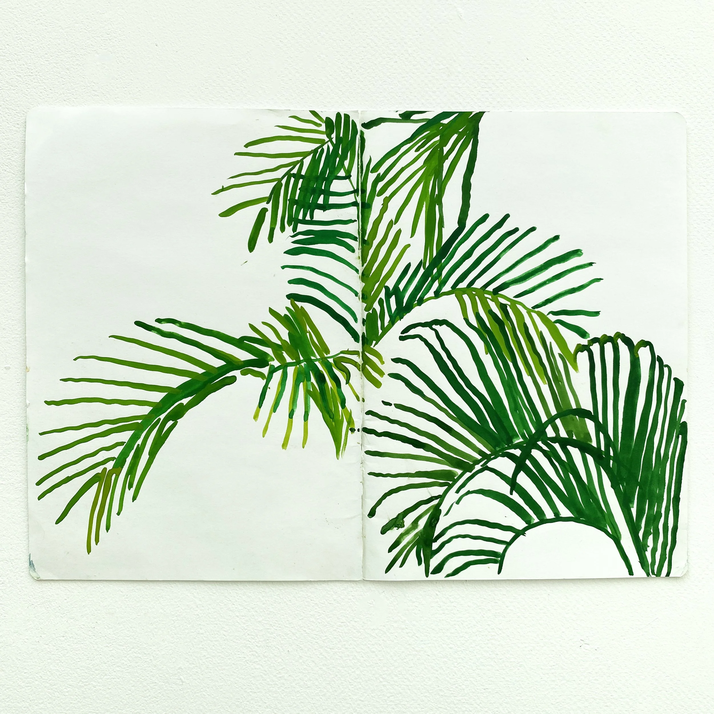 Palms Study Sq.jpg