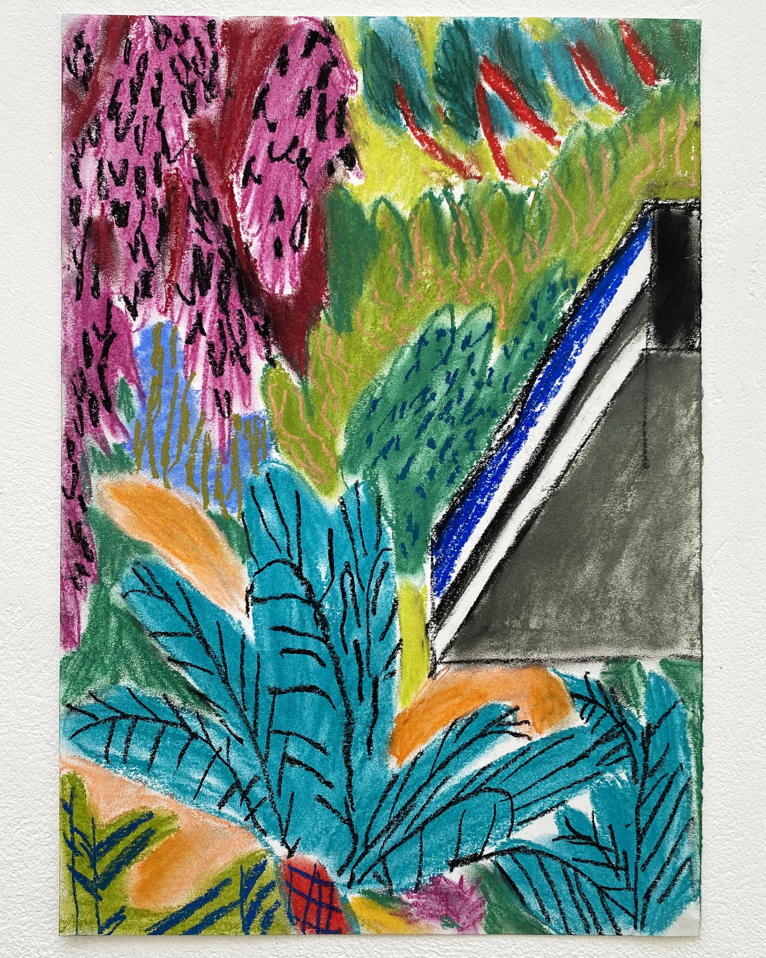 Views from the Yard 5.jpg