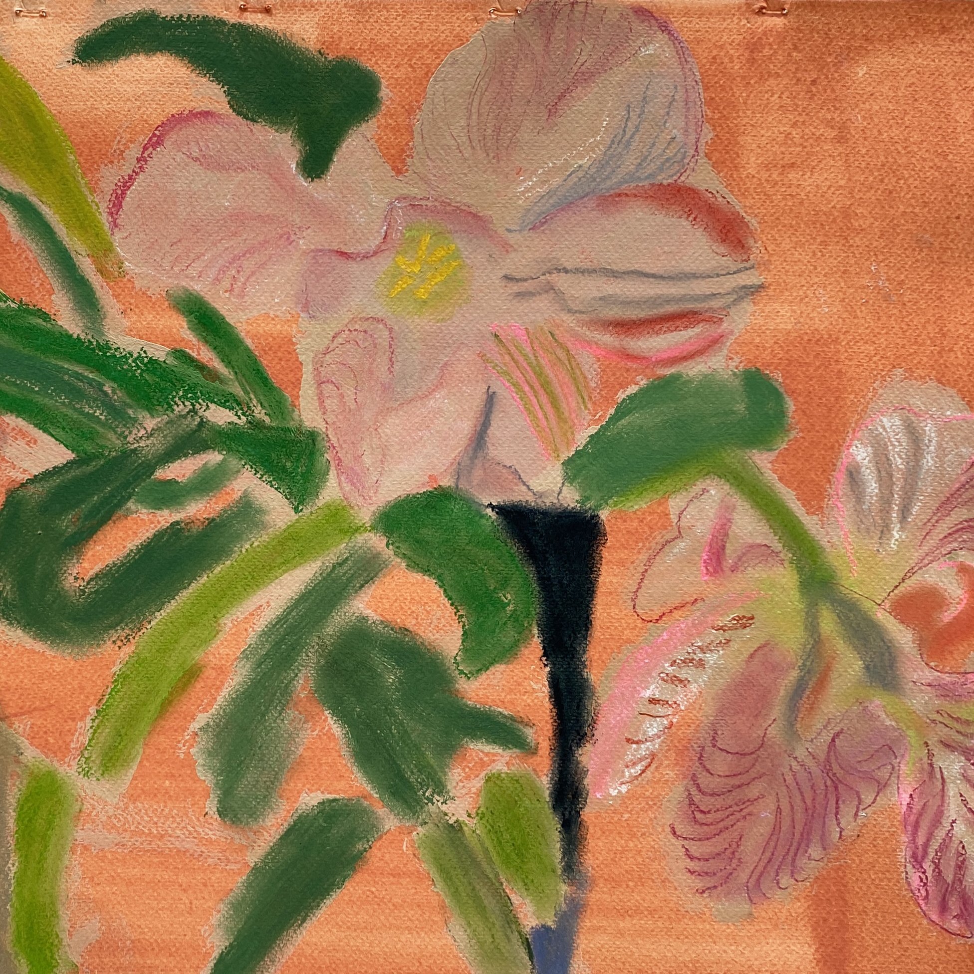 Parrot Tulips on Coral 2 detail.jpg