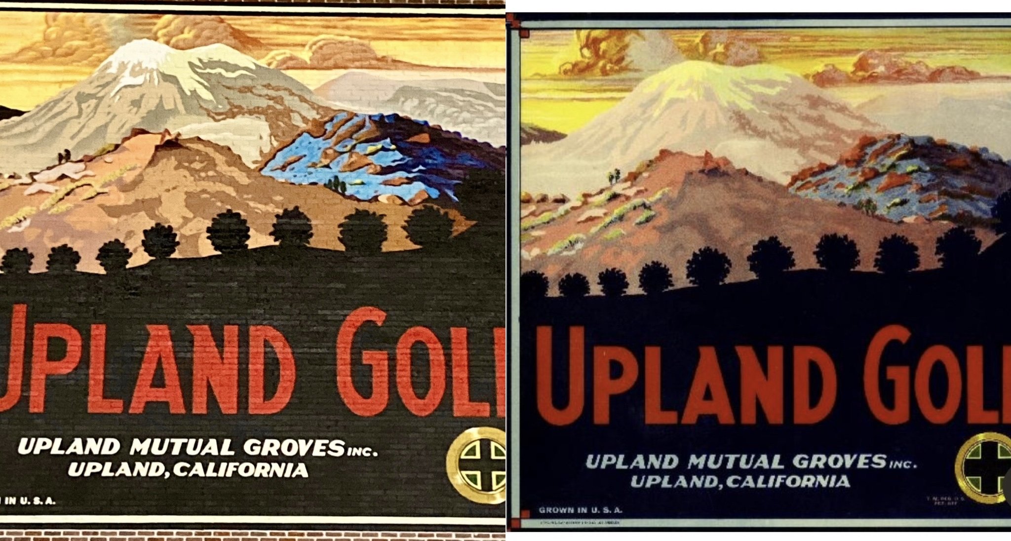 Mural vs poster 2.jpg