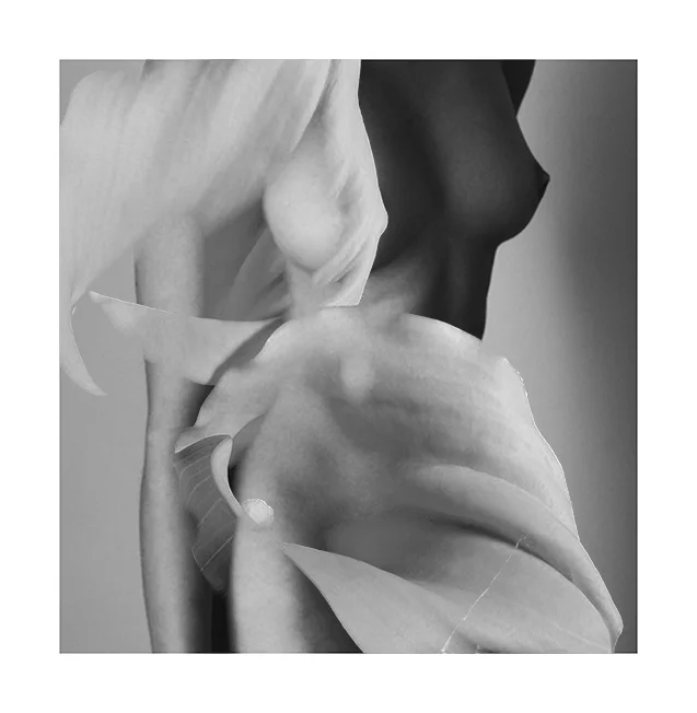 TOUCH+1.jpg