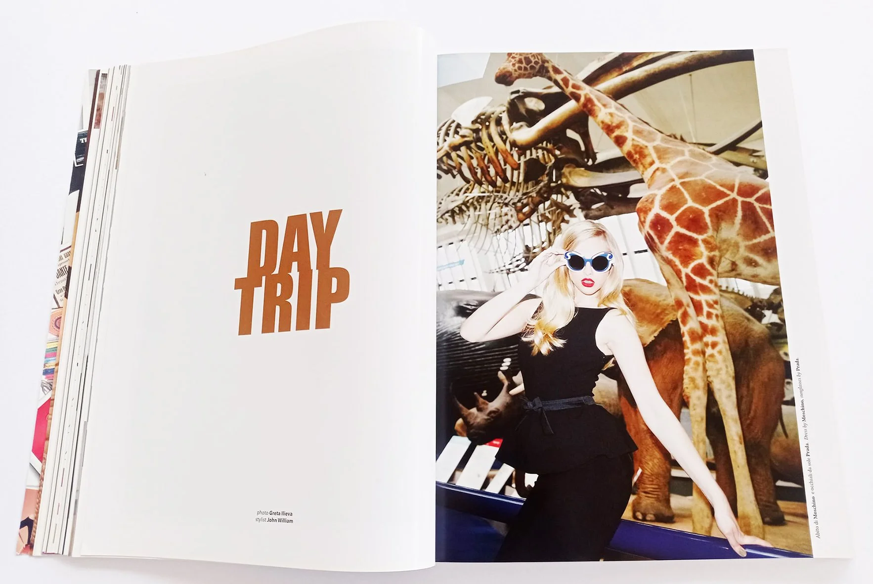 DAY TRIP - 354225839_10162813173719552_913236822128258958_n.jpg