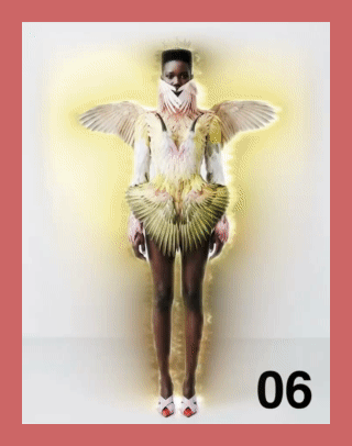 GIF BIRDIE .gif