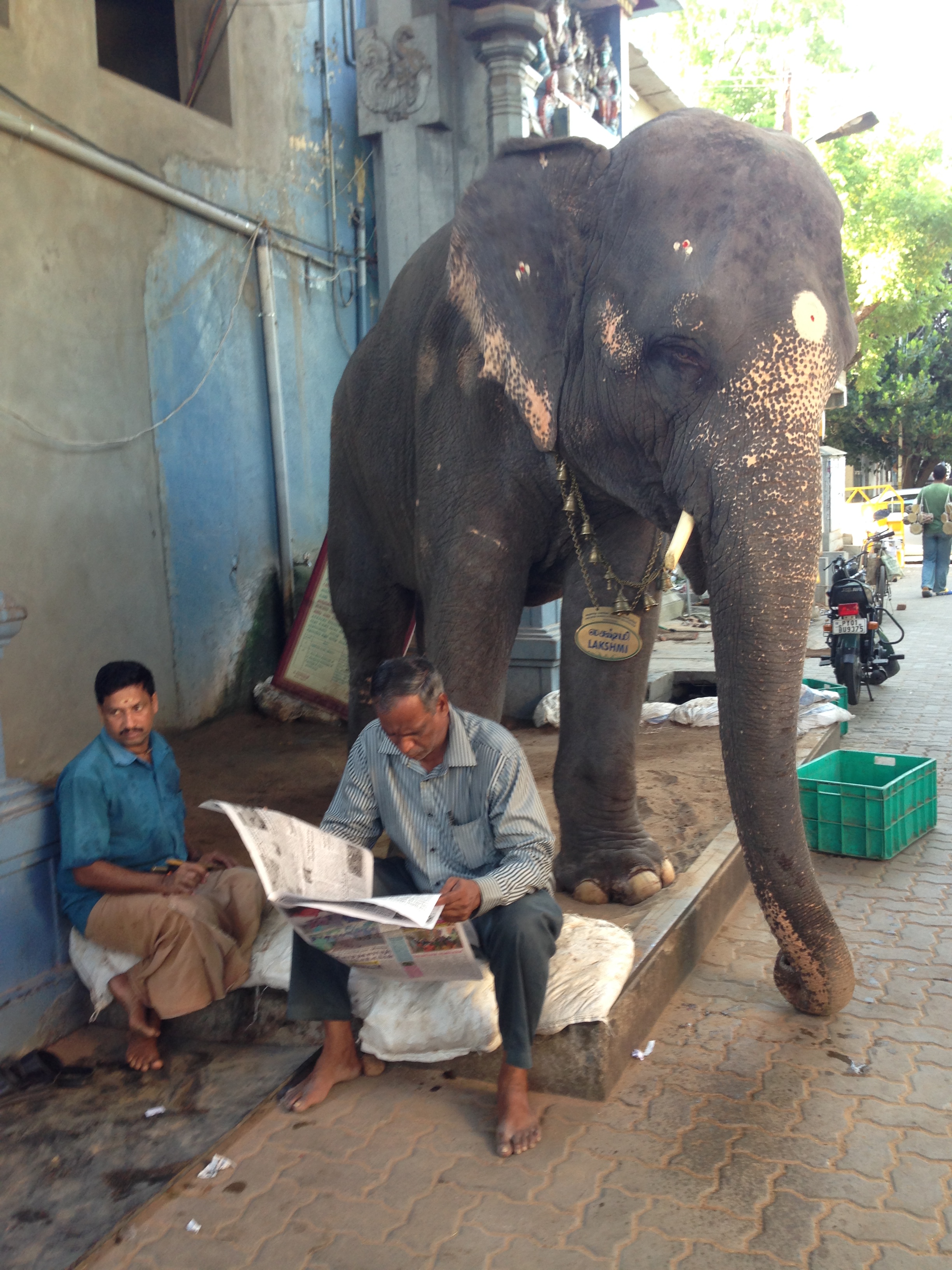 Lakshmi , The Ganesha Temple