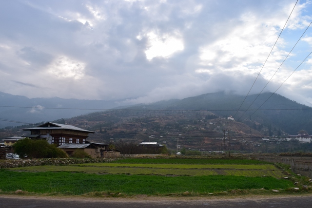 More of Paro 1