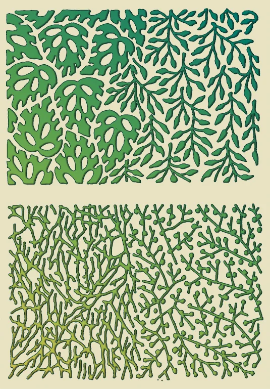 rain_forest_colored.jpg