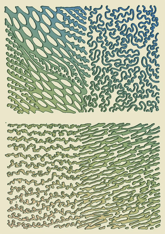 coast_line_colored.jpg