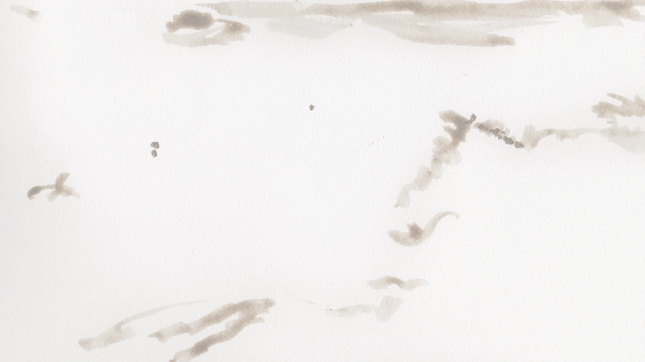 Dilutions delusions (2012)