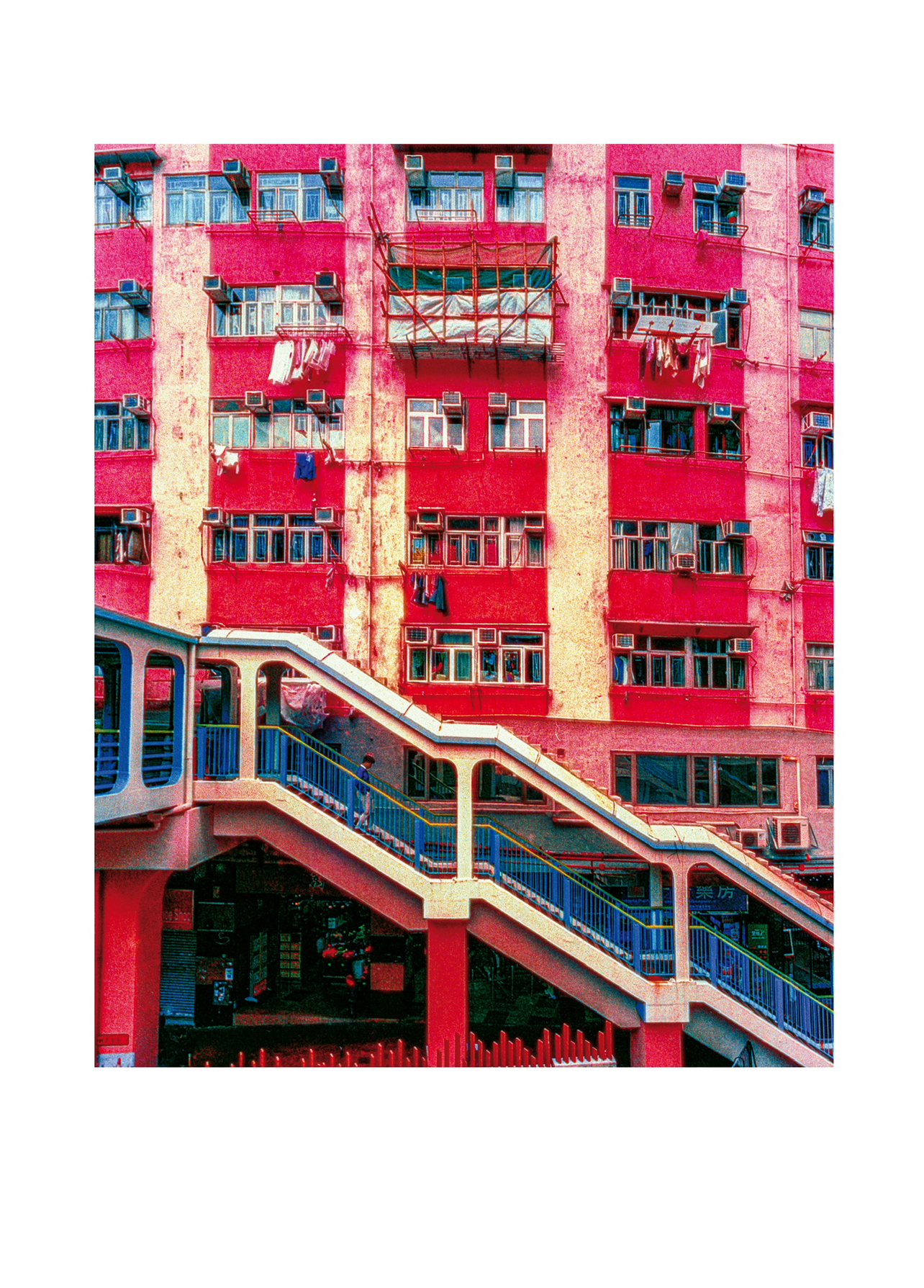 IMG_3516 (2).PNG