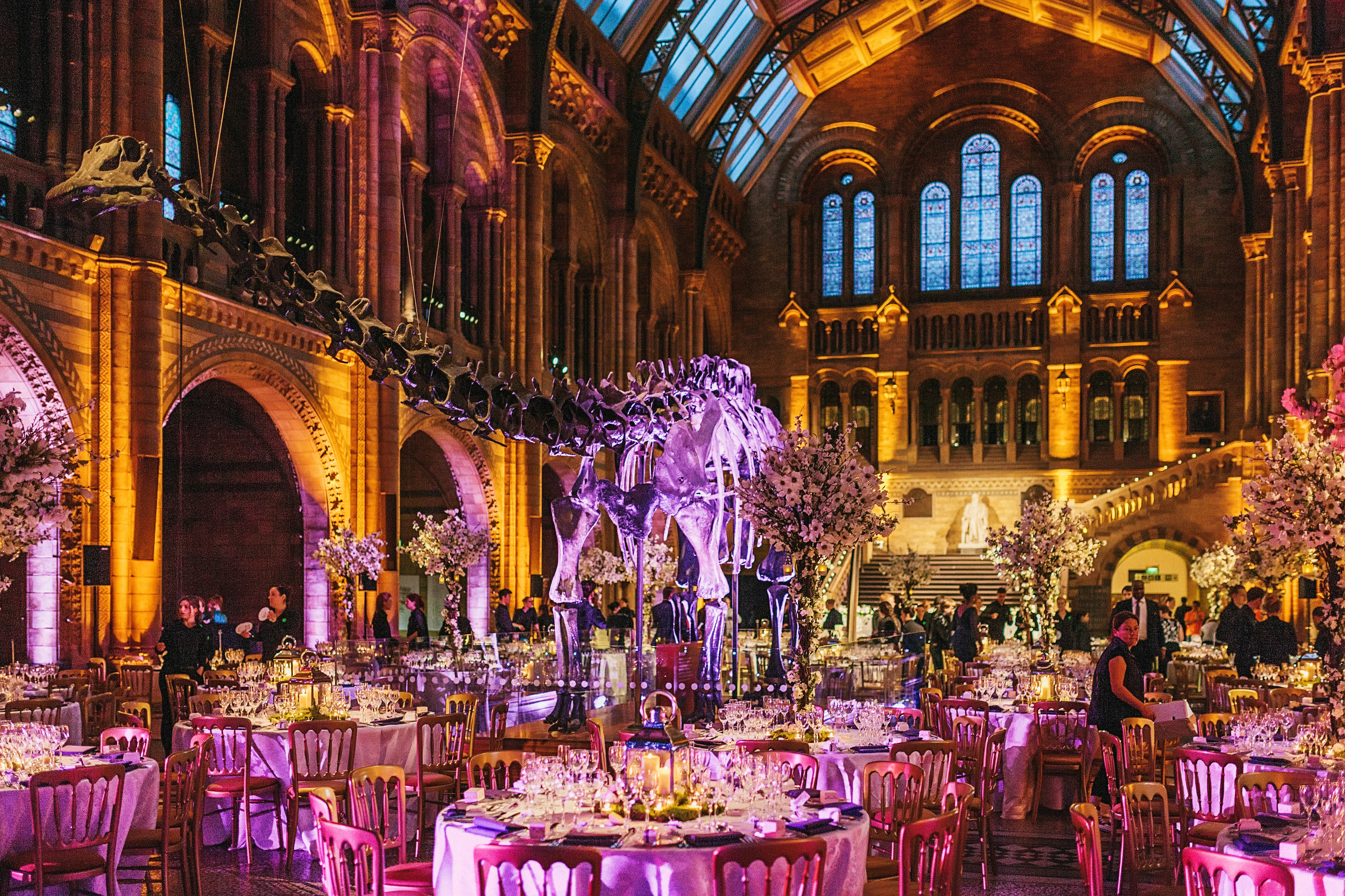 Wedding Videography Still - The Great Hall in The Natural History Museum (Copy)