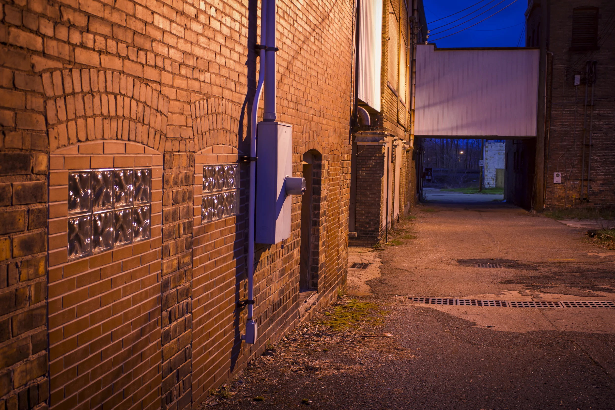 222Mon_JF_ArtistBk_0288.jpg