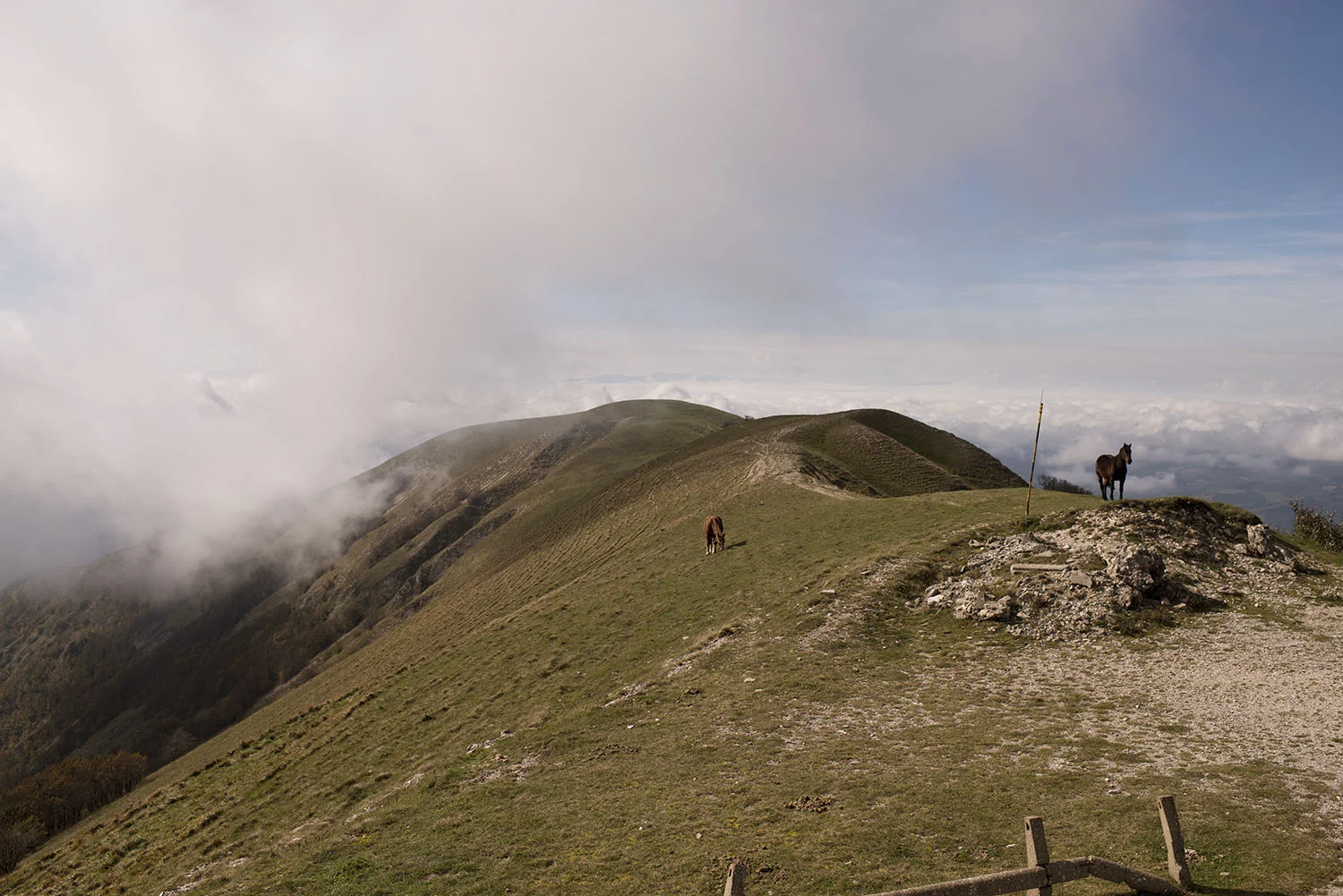 DSC_1097.jpg