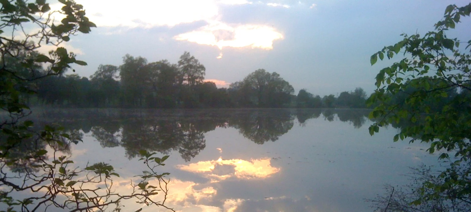 reflection.jpg