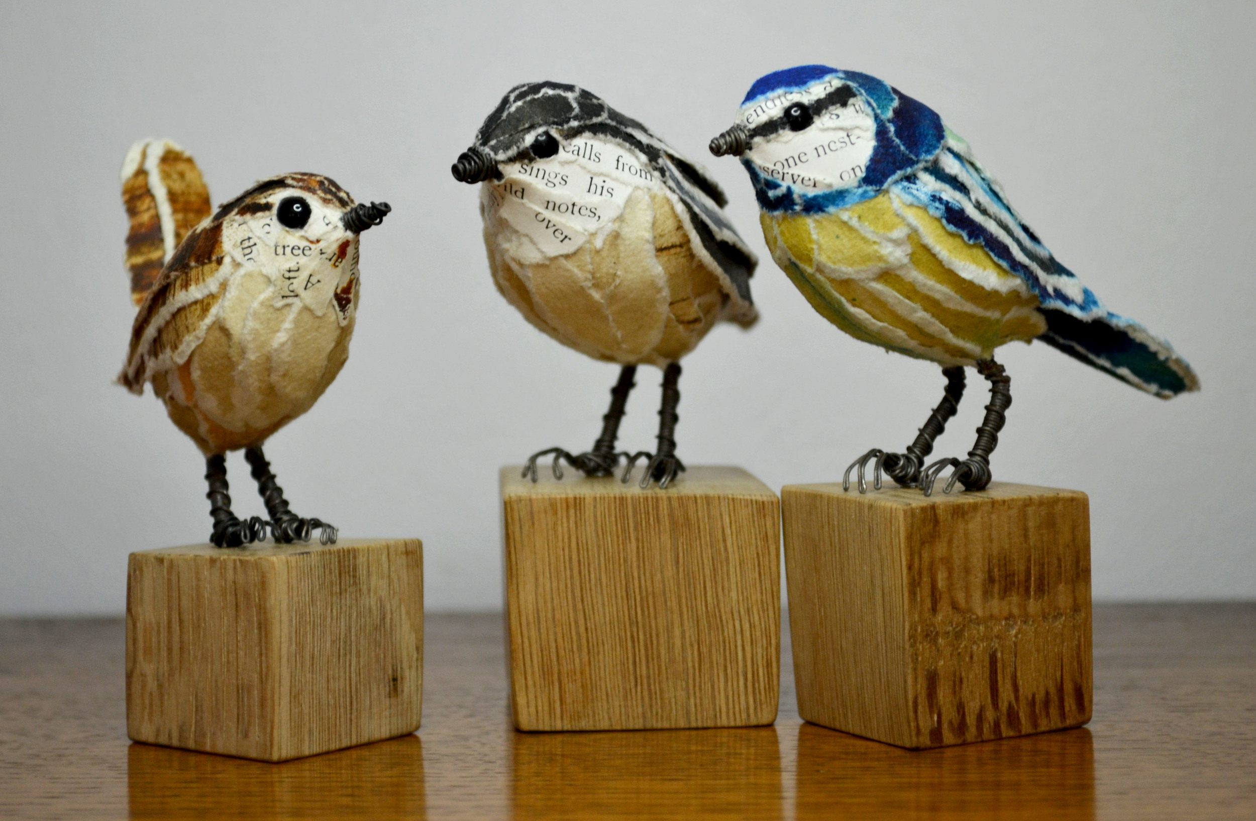 Wren, Coal tit & Blue tit