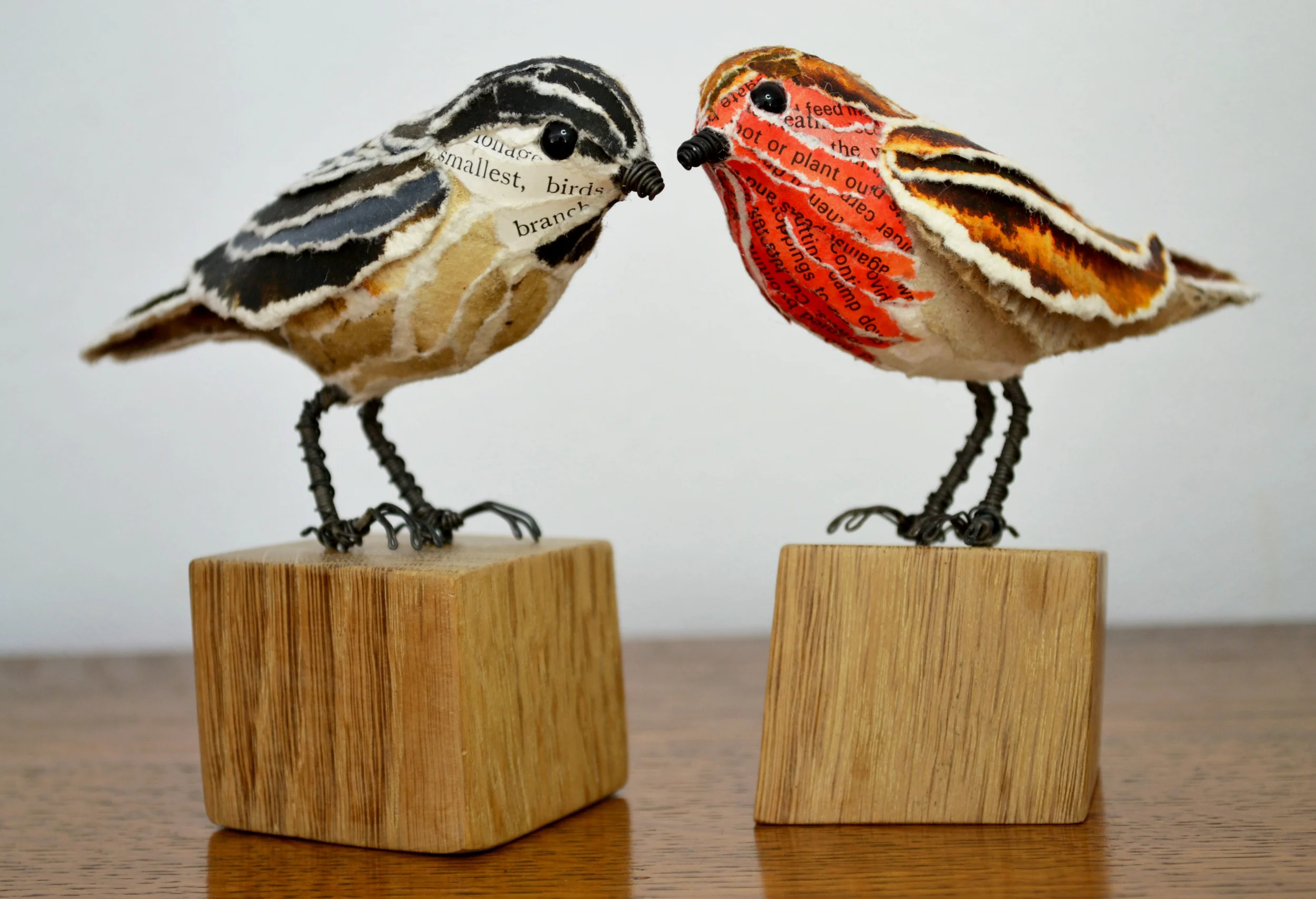 Coal Tit & Robin