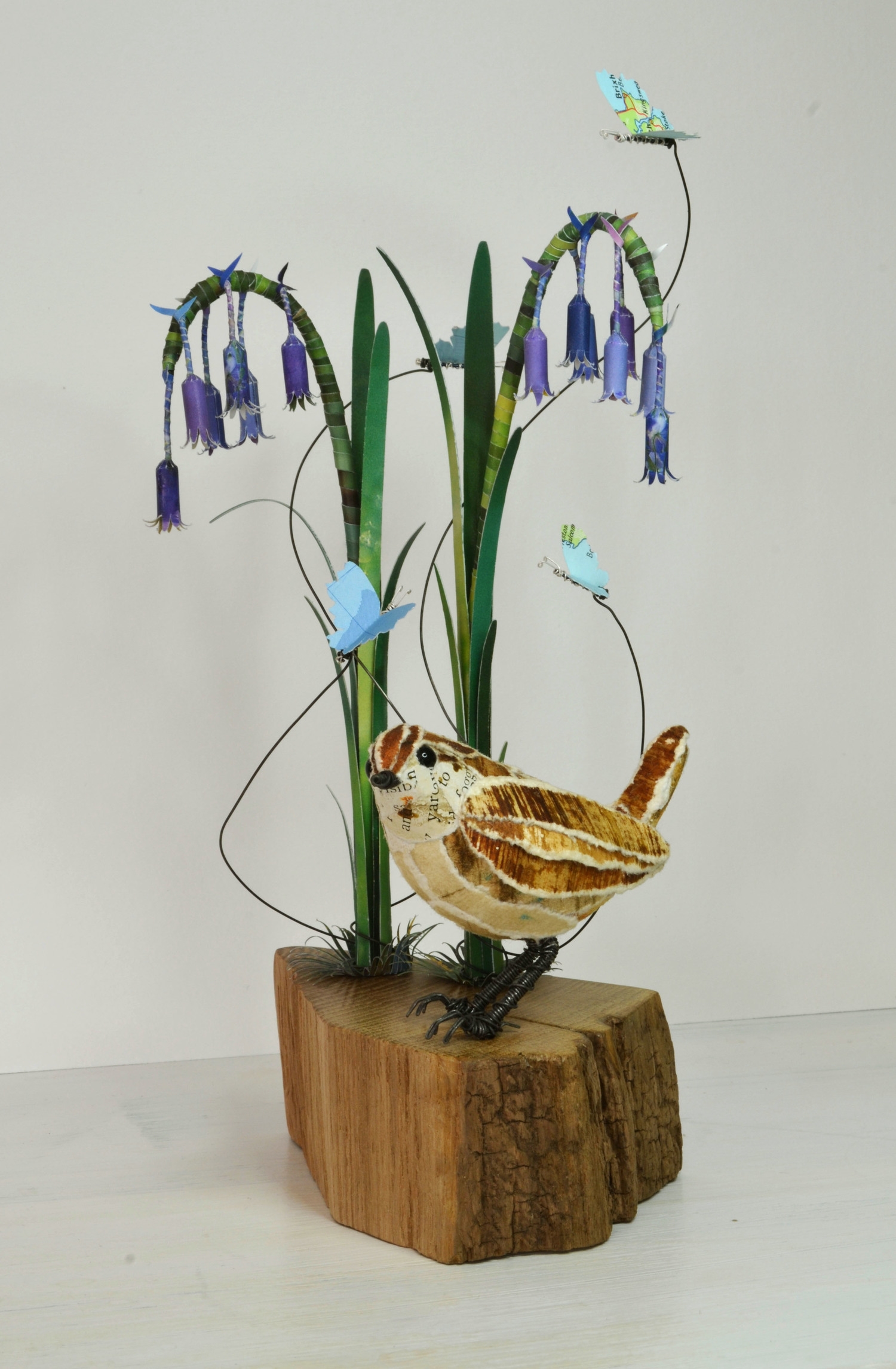 Wren & Bluebells - Spring