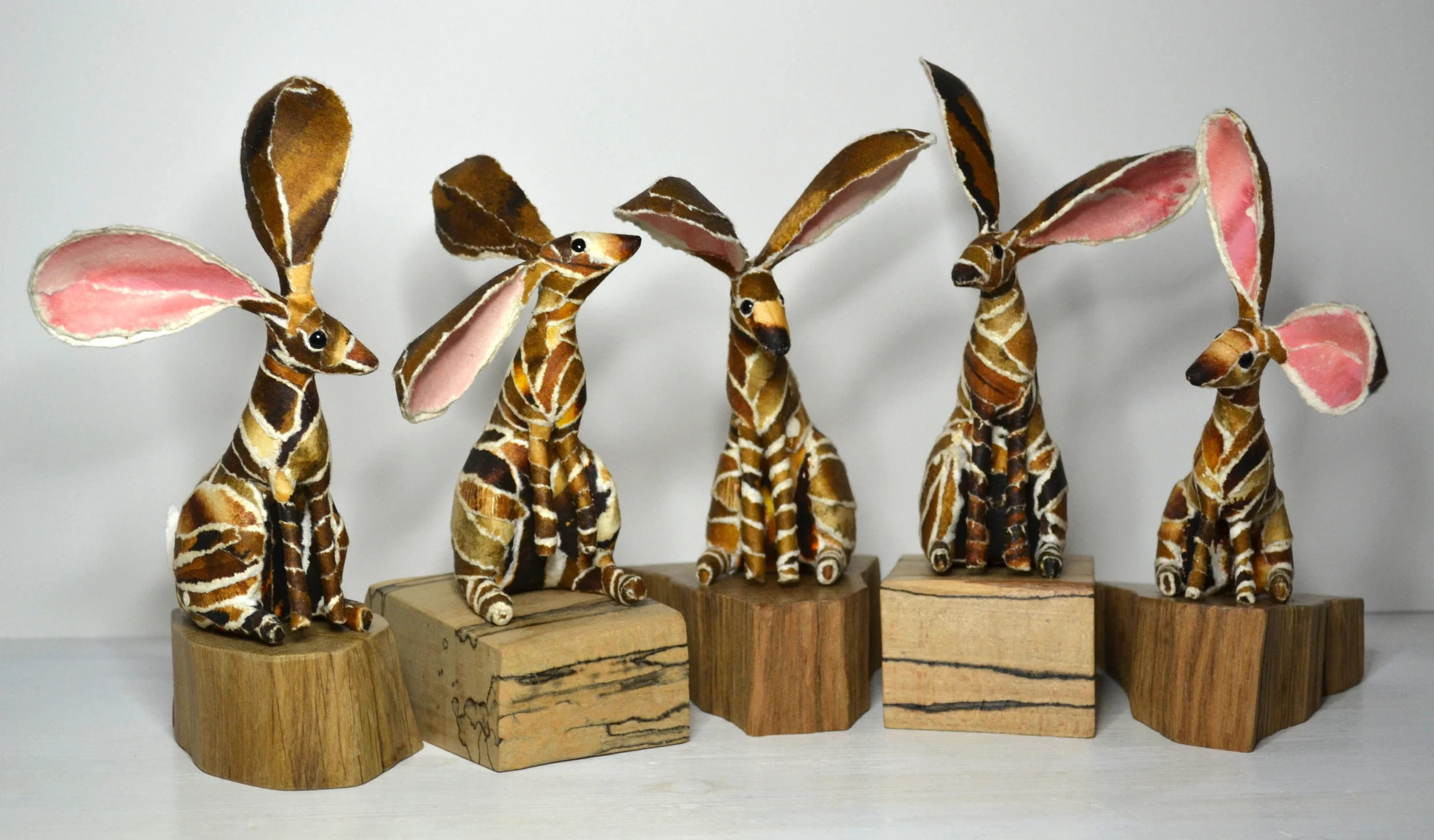 Dandelion, Peanut, Petal, Flo, Charlie (left to right)