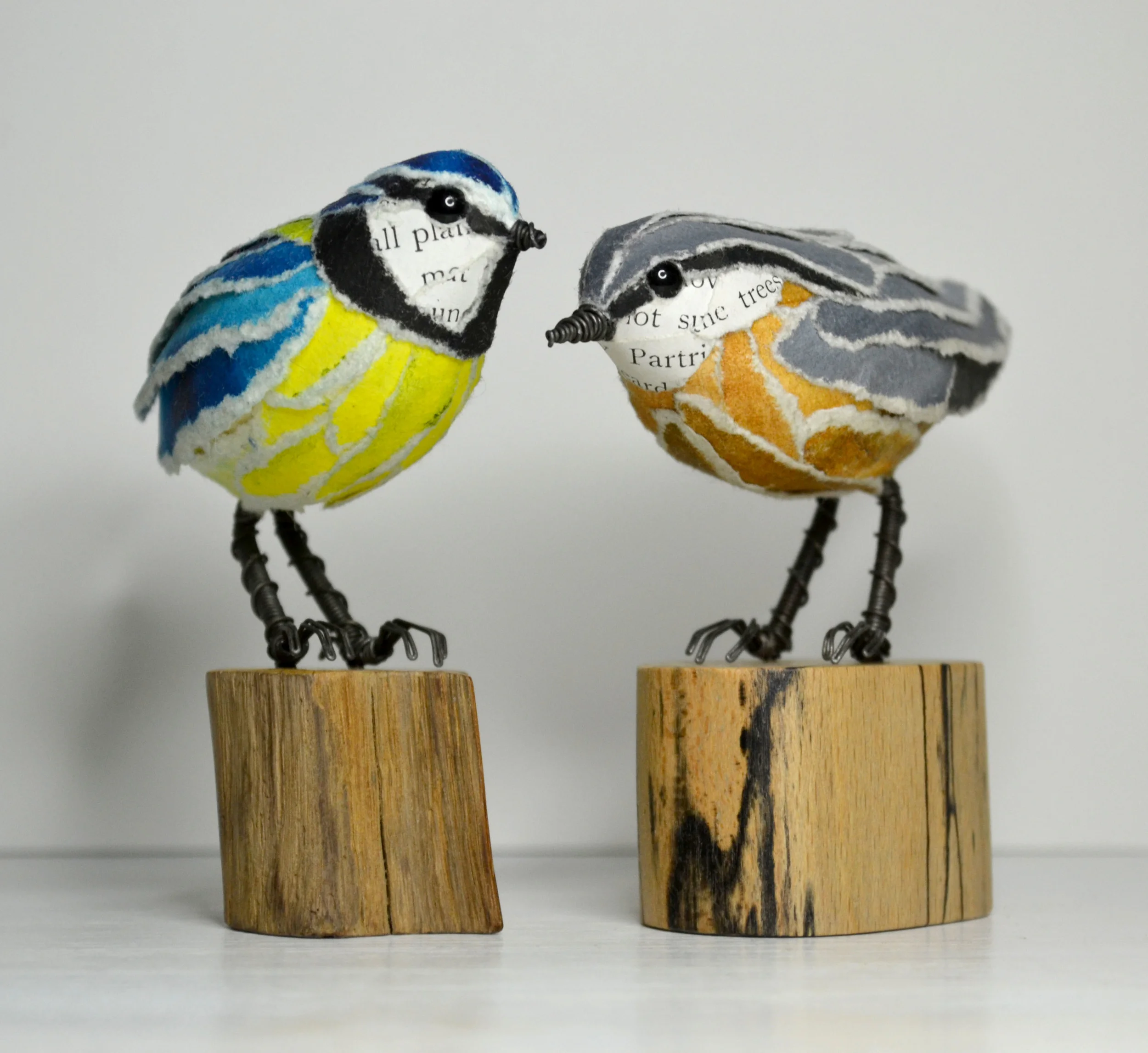Bluetit & Nuthatch