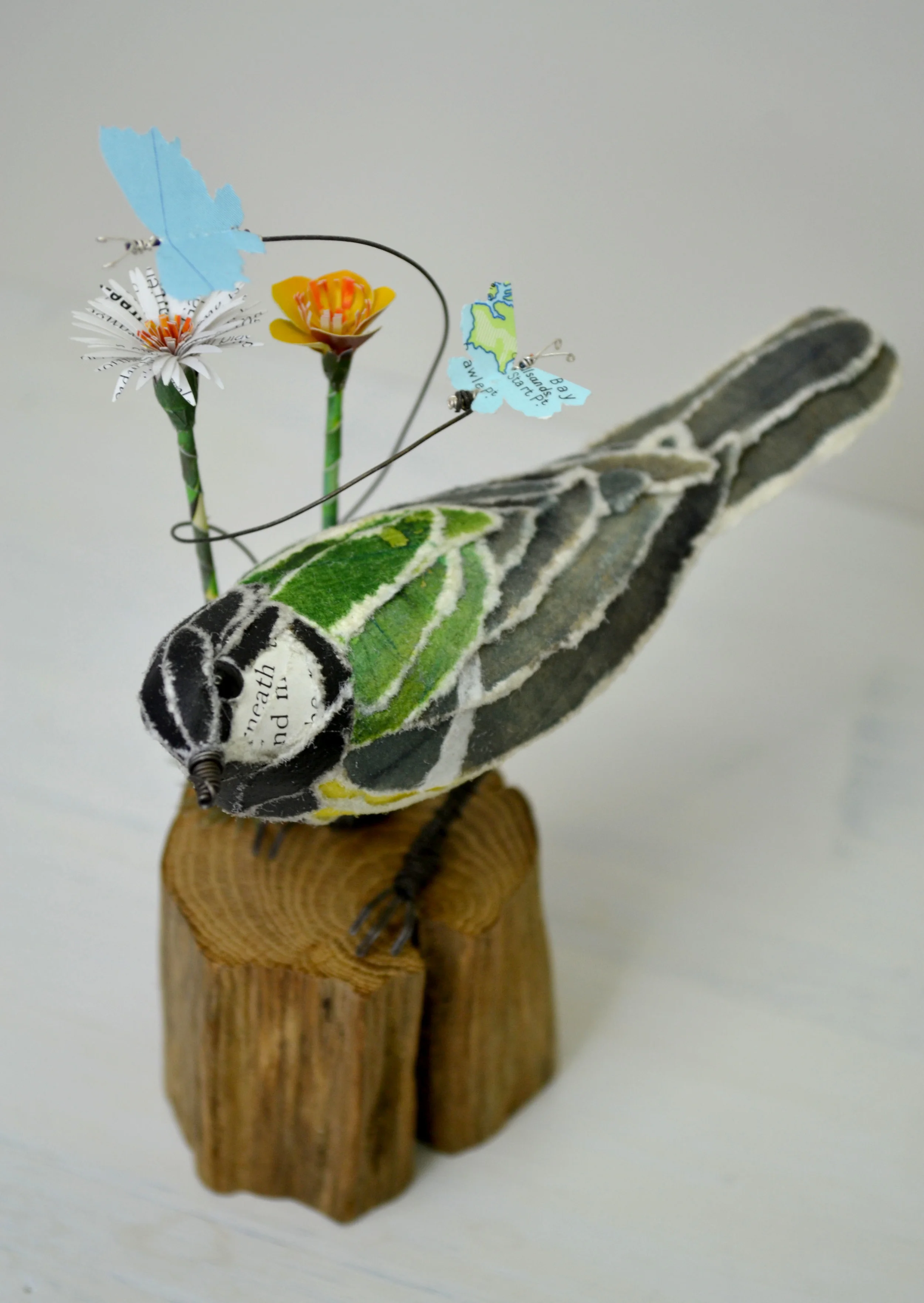 Great tit & foliage