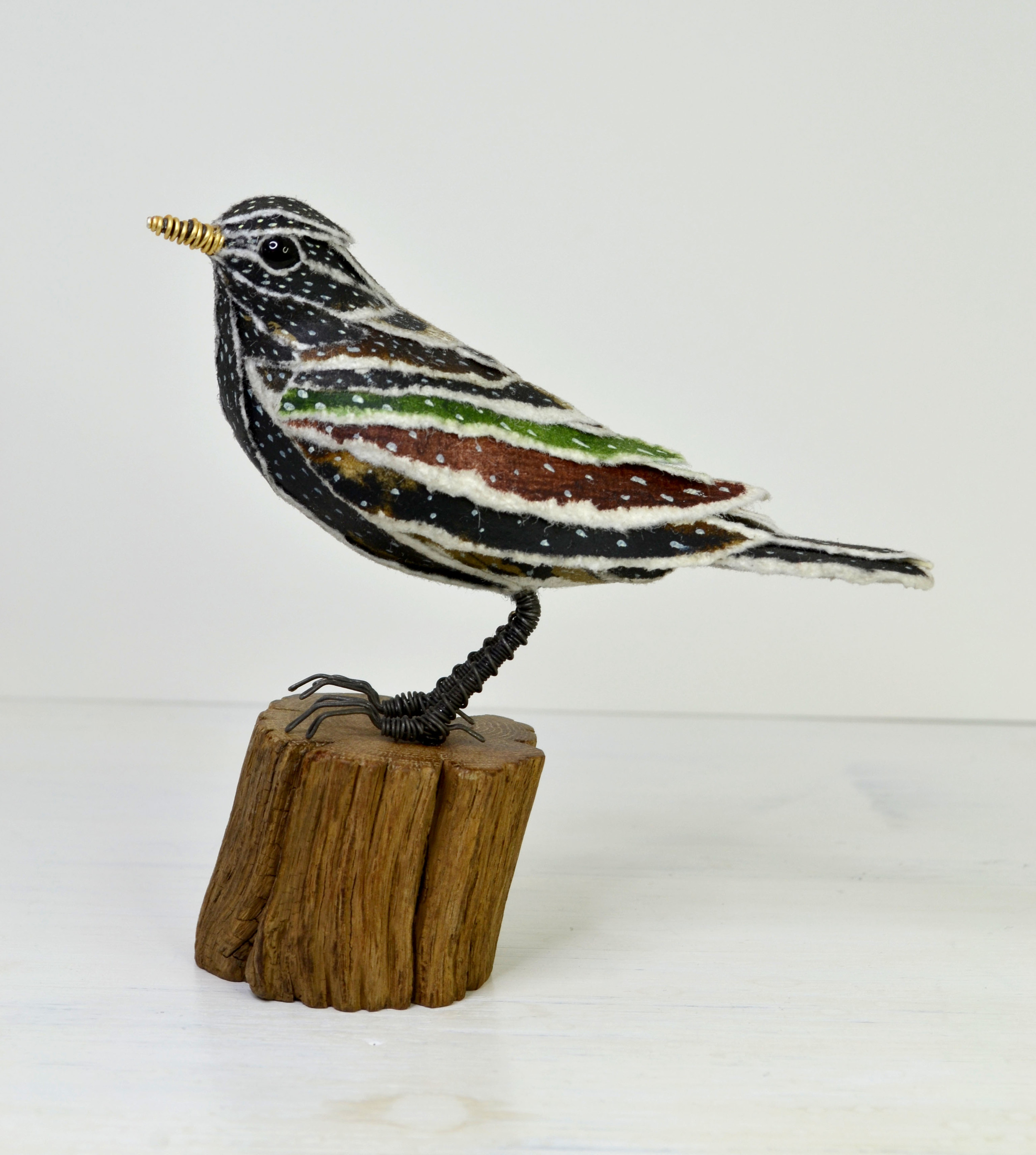 Starling