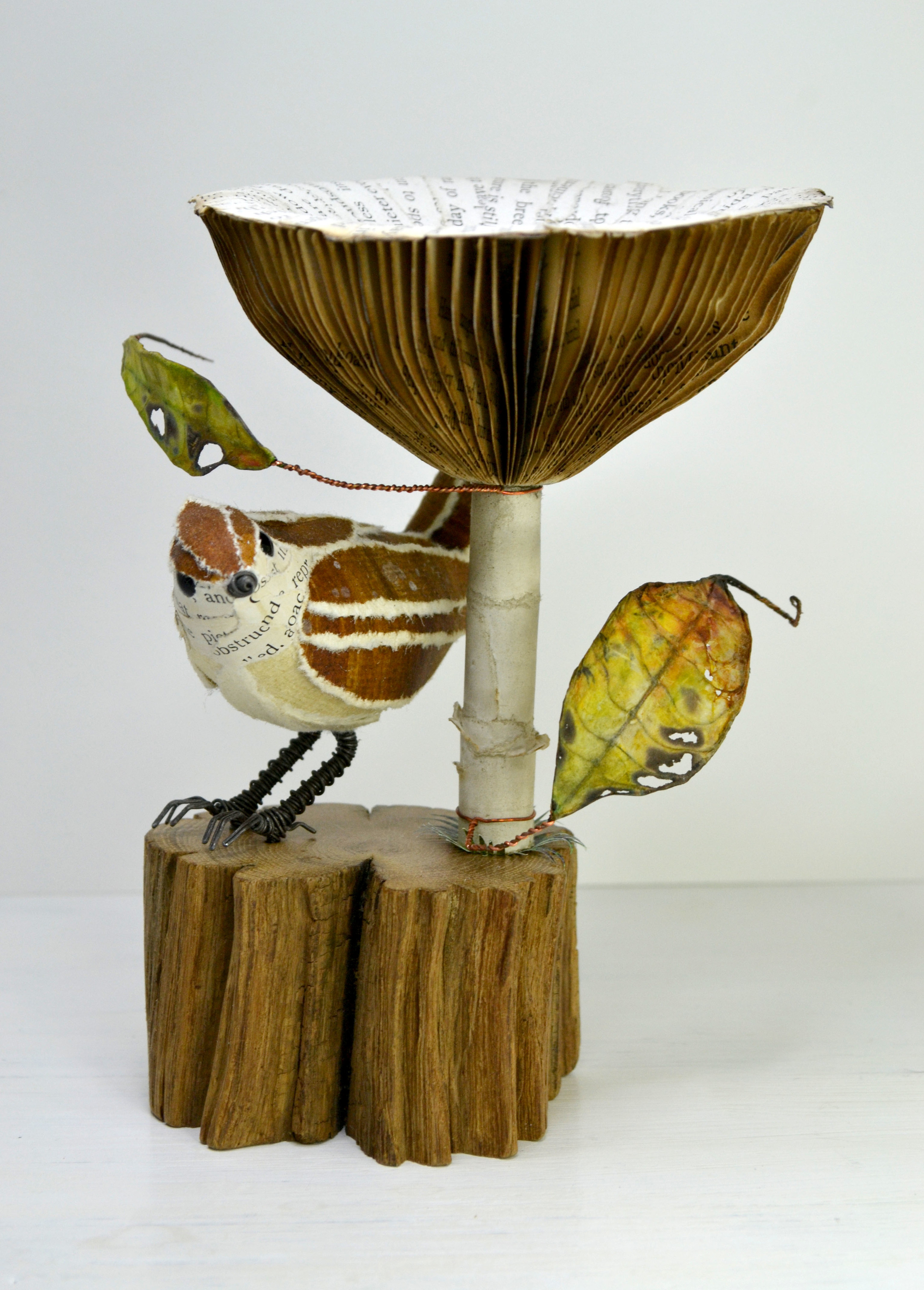 Wren & Autumn Foliage