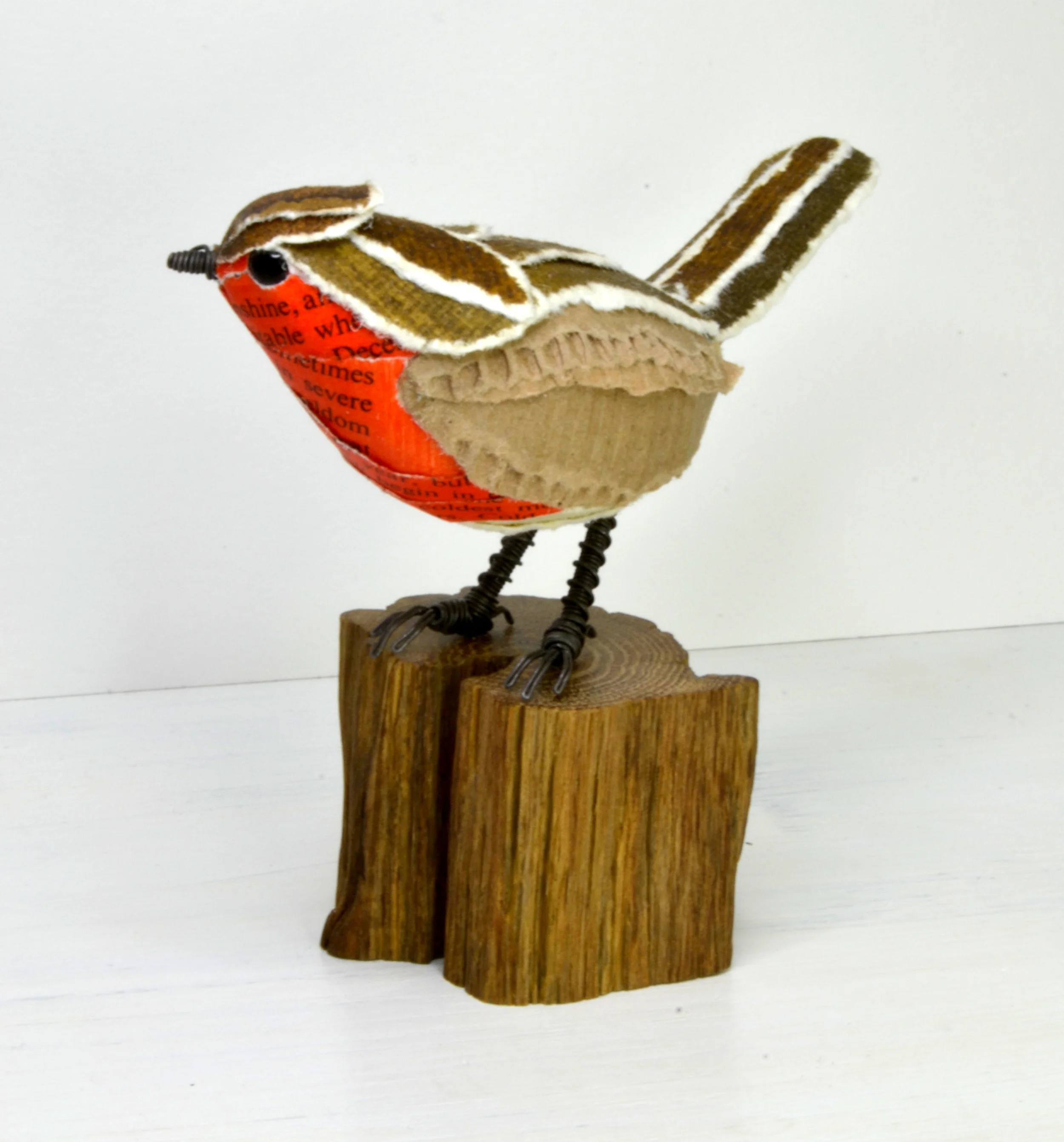 robin dec15 2.jpg