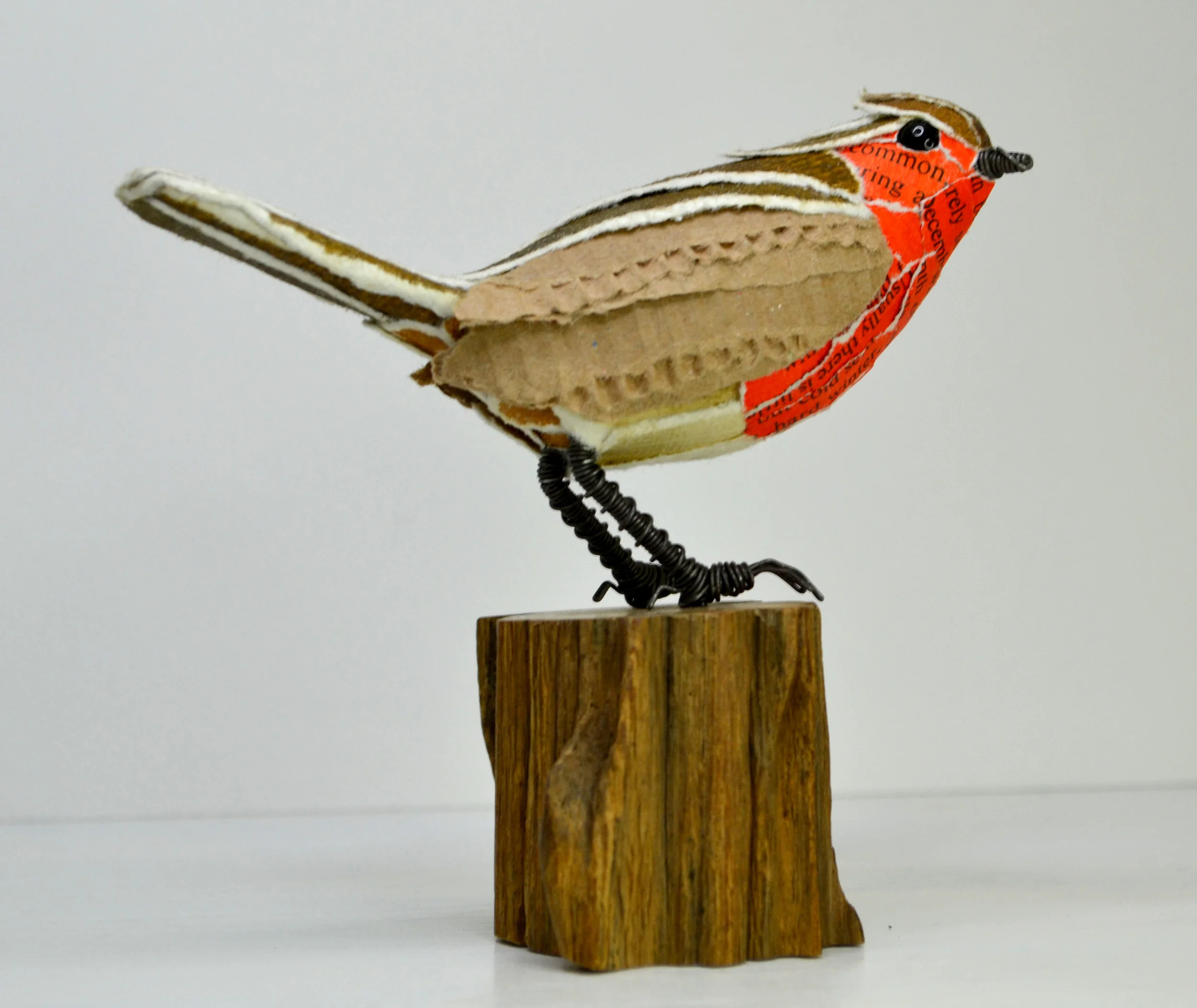 robin dec15 3.jpg